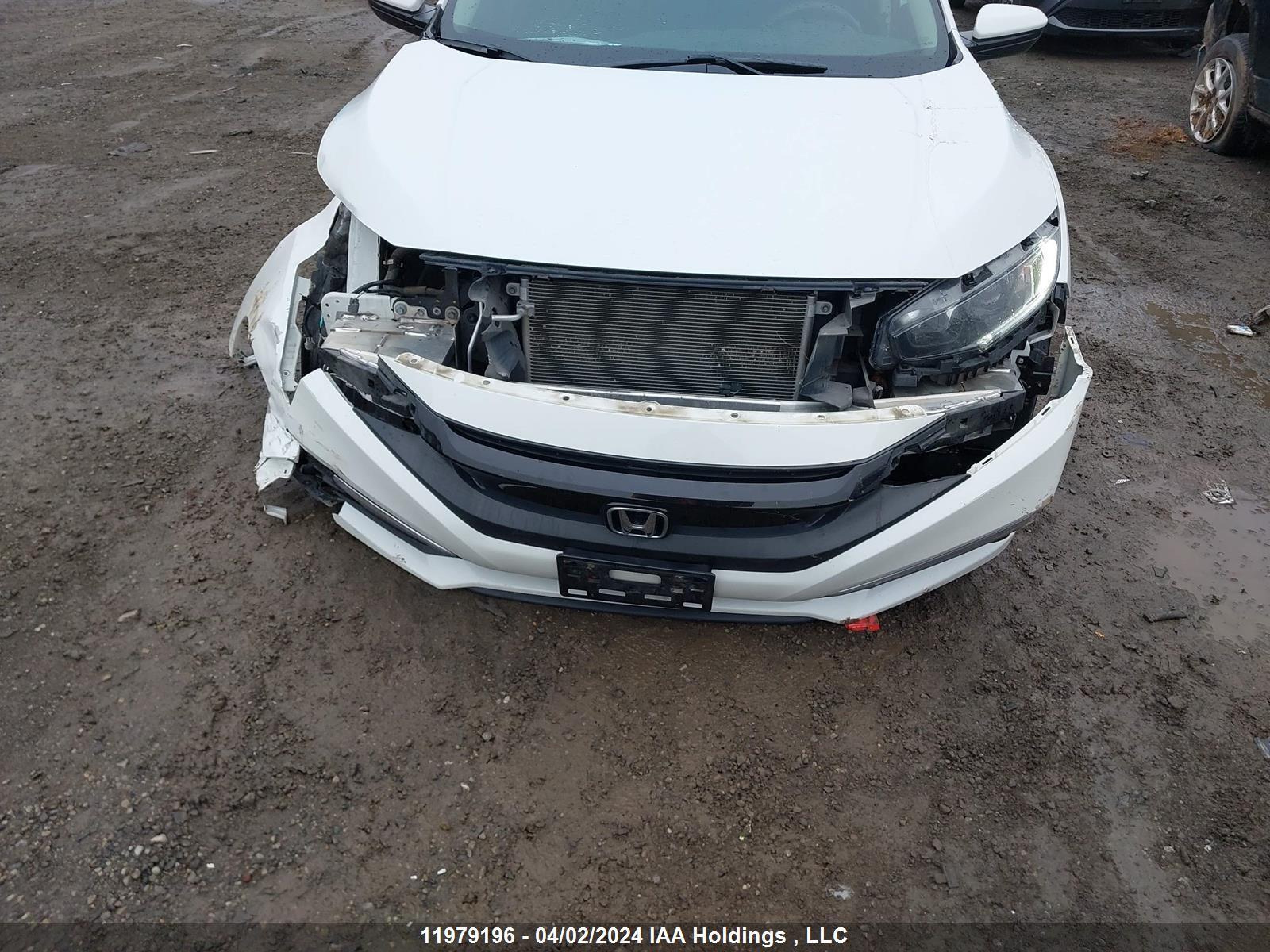 Photo 11 VIN: 2HGFC2F52KH008066 - HONDA CIVIC 