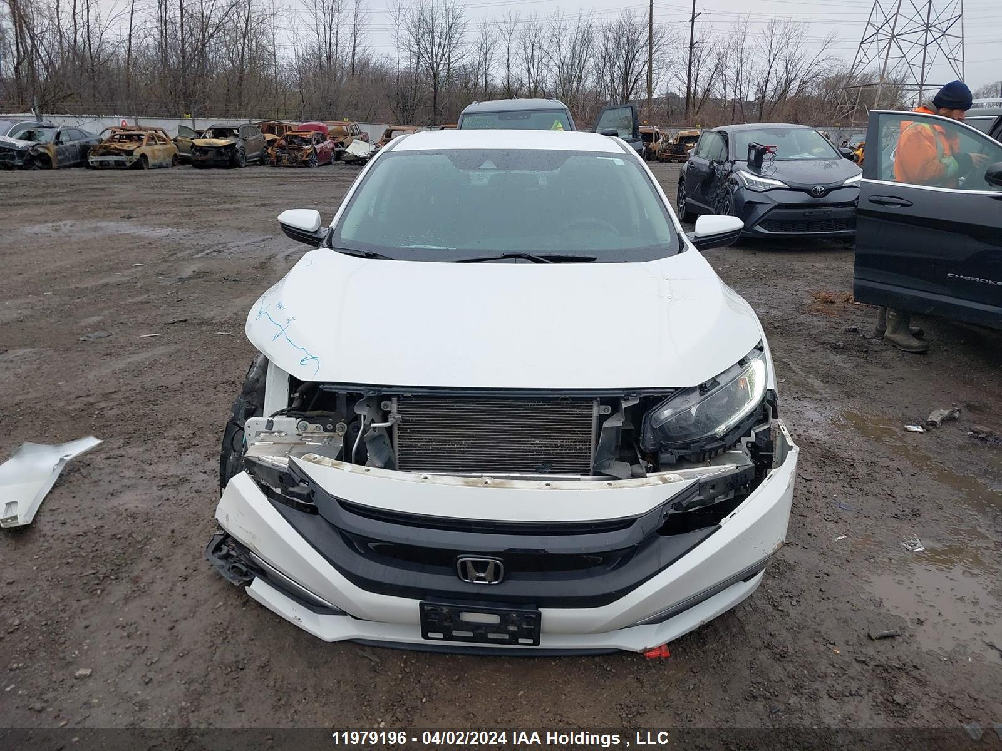 Photo 12 VIN: 2HGFC2F52KH008066 - HONDA CIVIC 