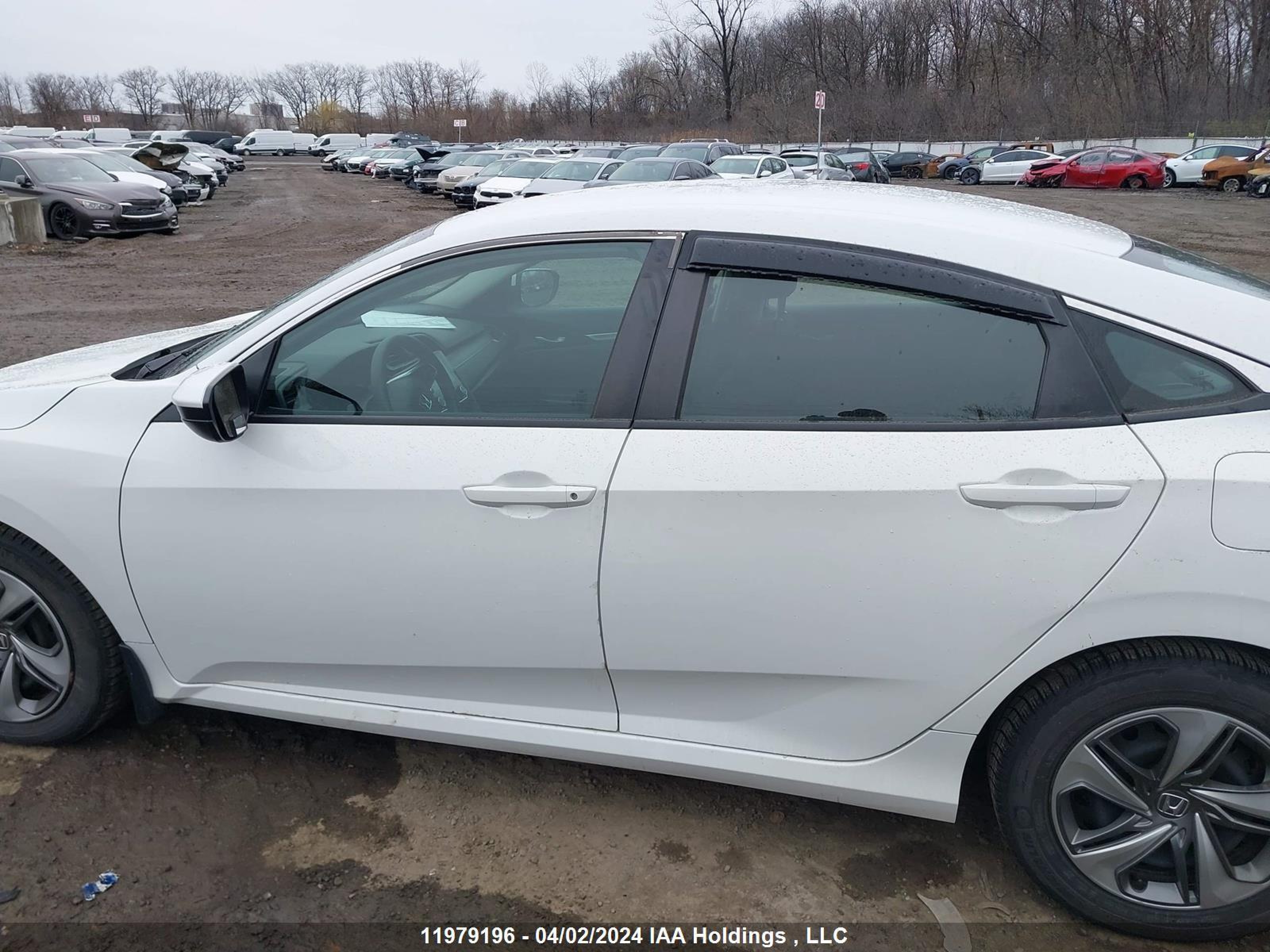 Photo 14 VIN: 2HGFC2F52KH008066 - HONDA CIVIC 