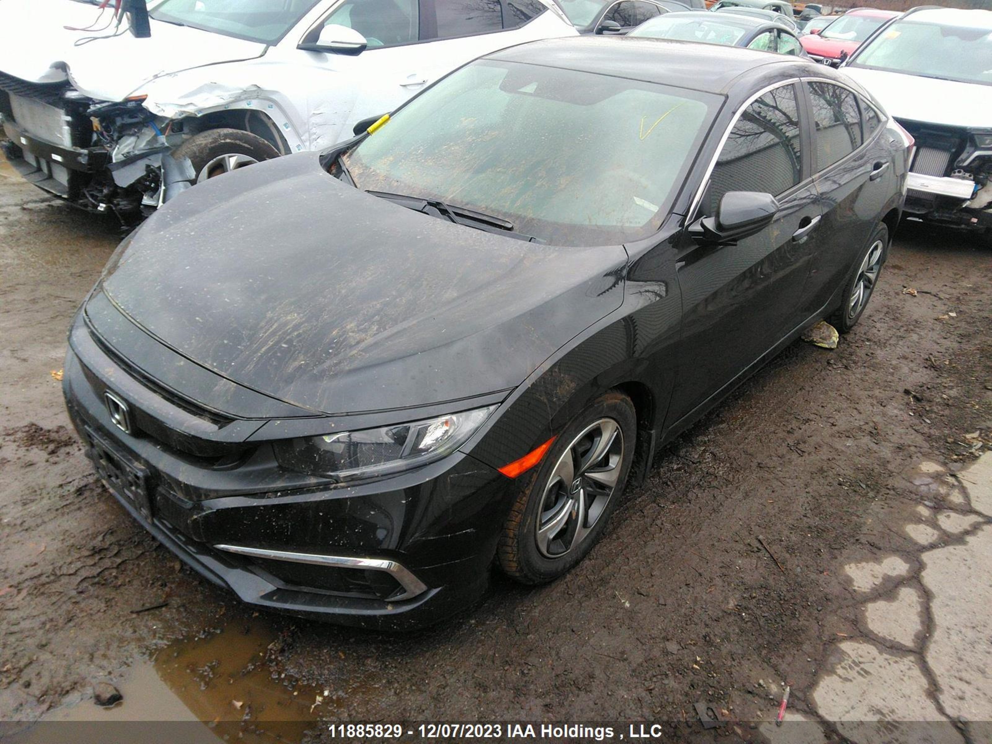 Photo 1 VIN: 2HGFC2F59LH032463 - HONDA CIVIC 