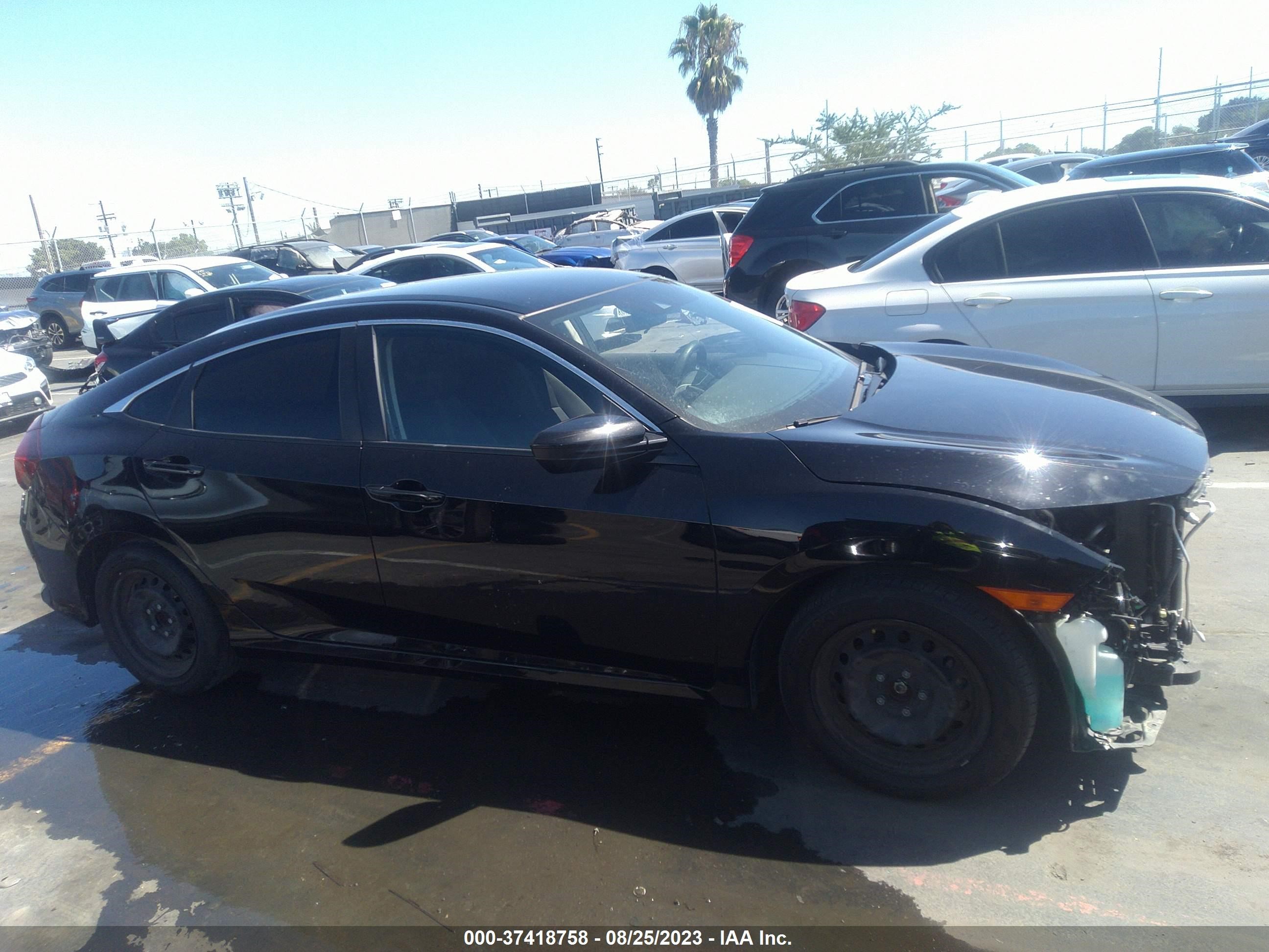 Photo 12 VIN: 2HGFC2F63MH558663 - HONDA CIVIC 