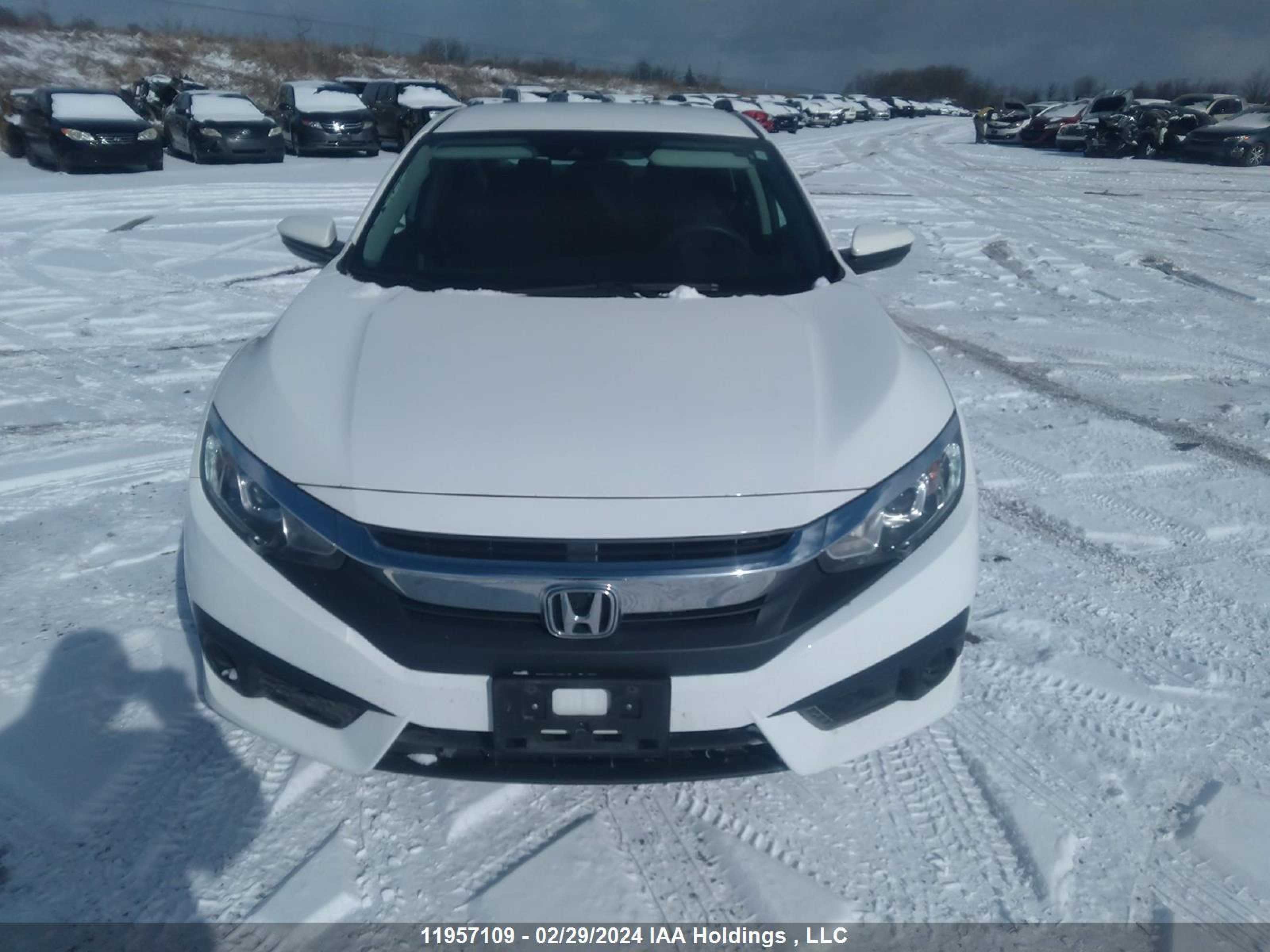 Photo 11 VIN: 2HGFC2F69GH037368 - HONDA CIVIC 