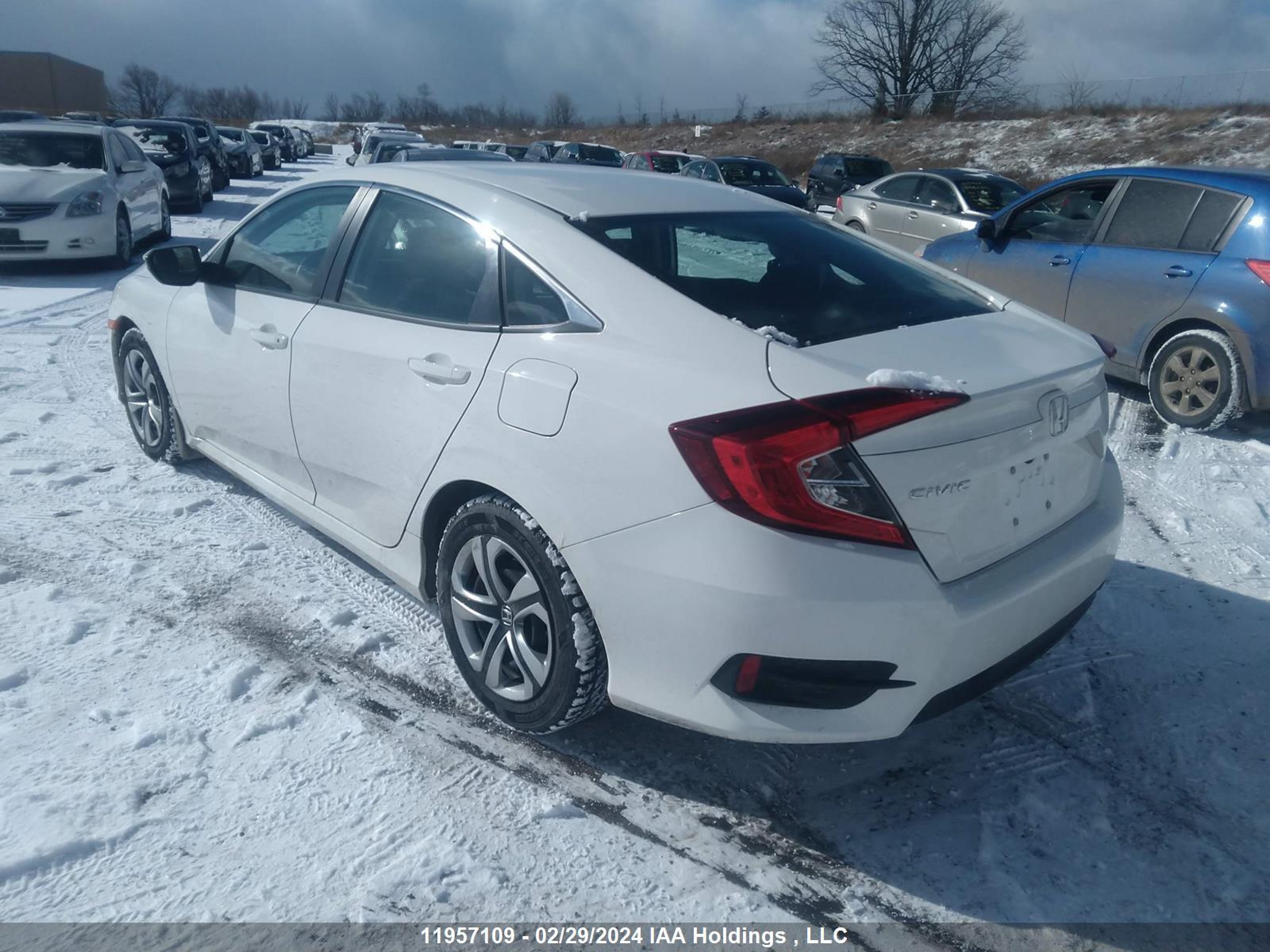 Photo 2 VIN: 2HGFC2F69GH037368 - HONDA CIVIC 