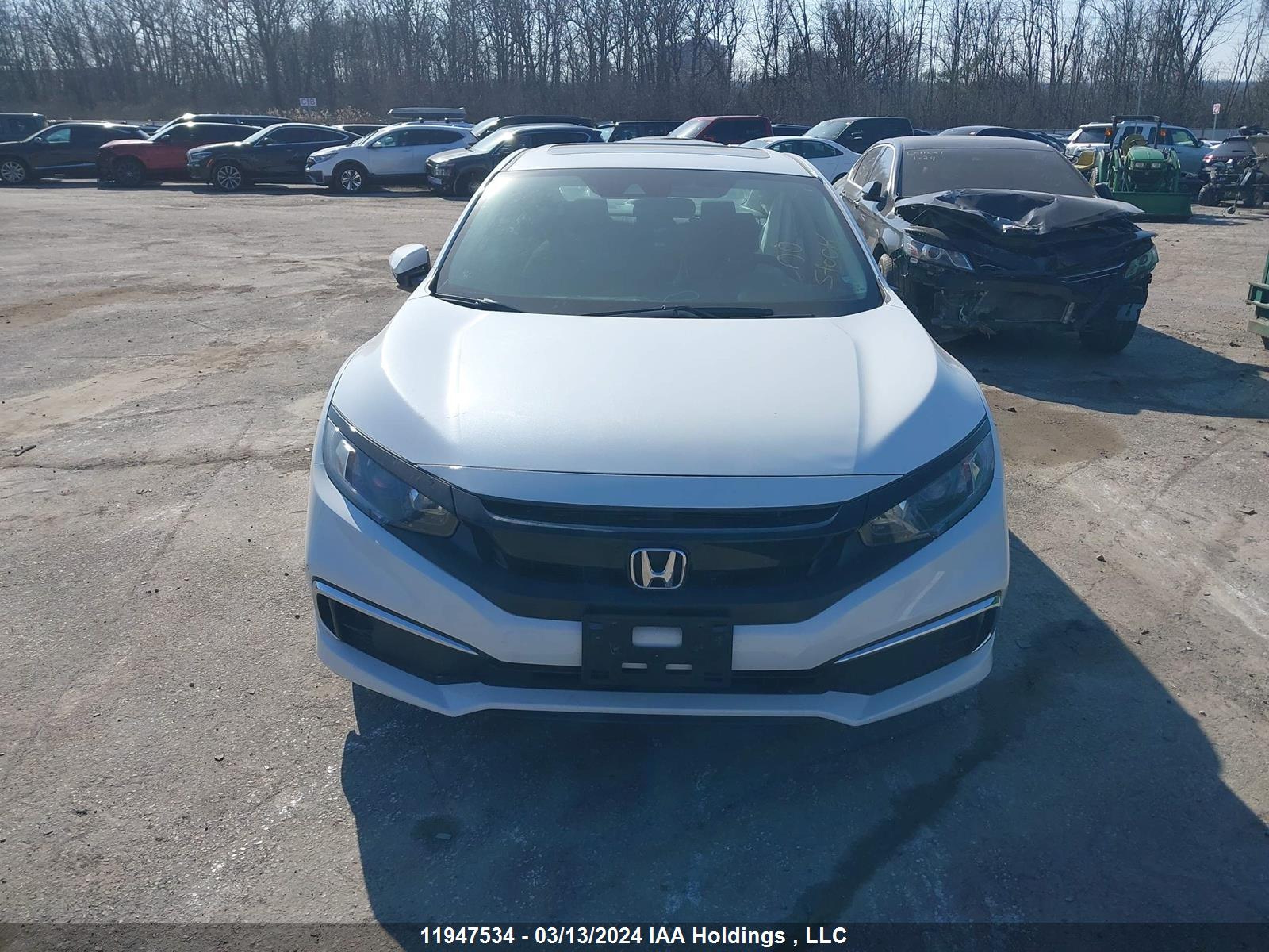 Photo 11 VIN: 2HGFC2F70LH019117 - HONDA CIVIC 