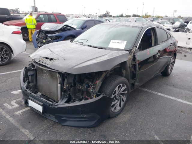 Photo 1 VIN: 2HGFC2F71GH503948 - HONDA CIVIC 