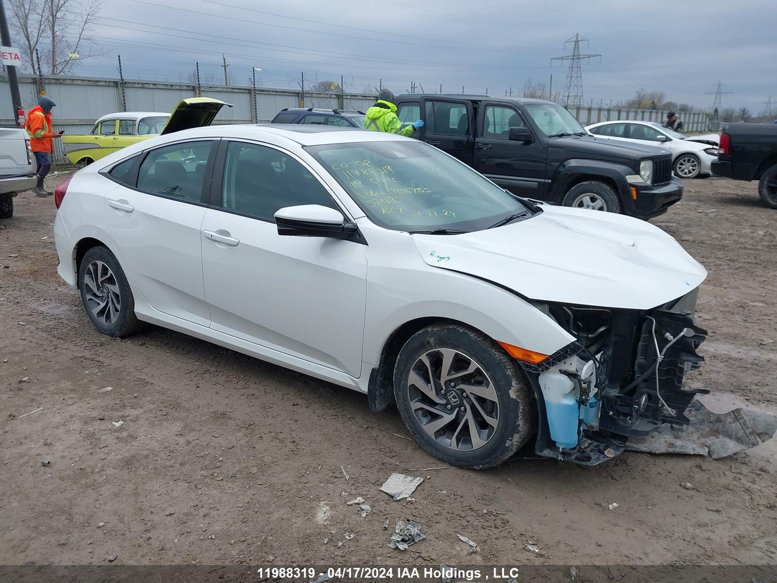 Photo 12 VIN: 2HGFC2F79KH008955 - HONDA CIVIC 