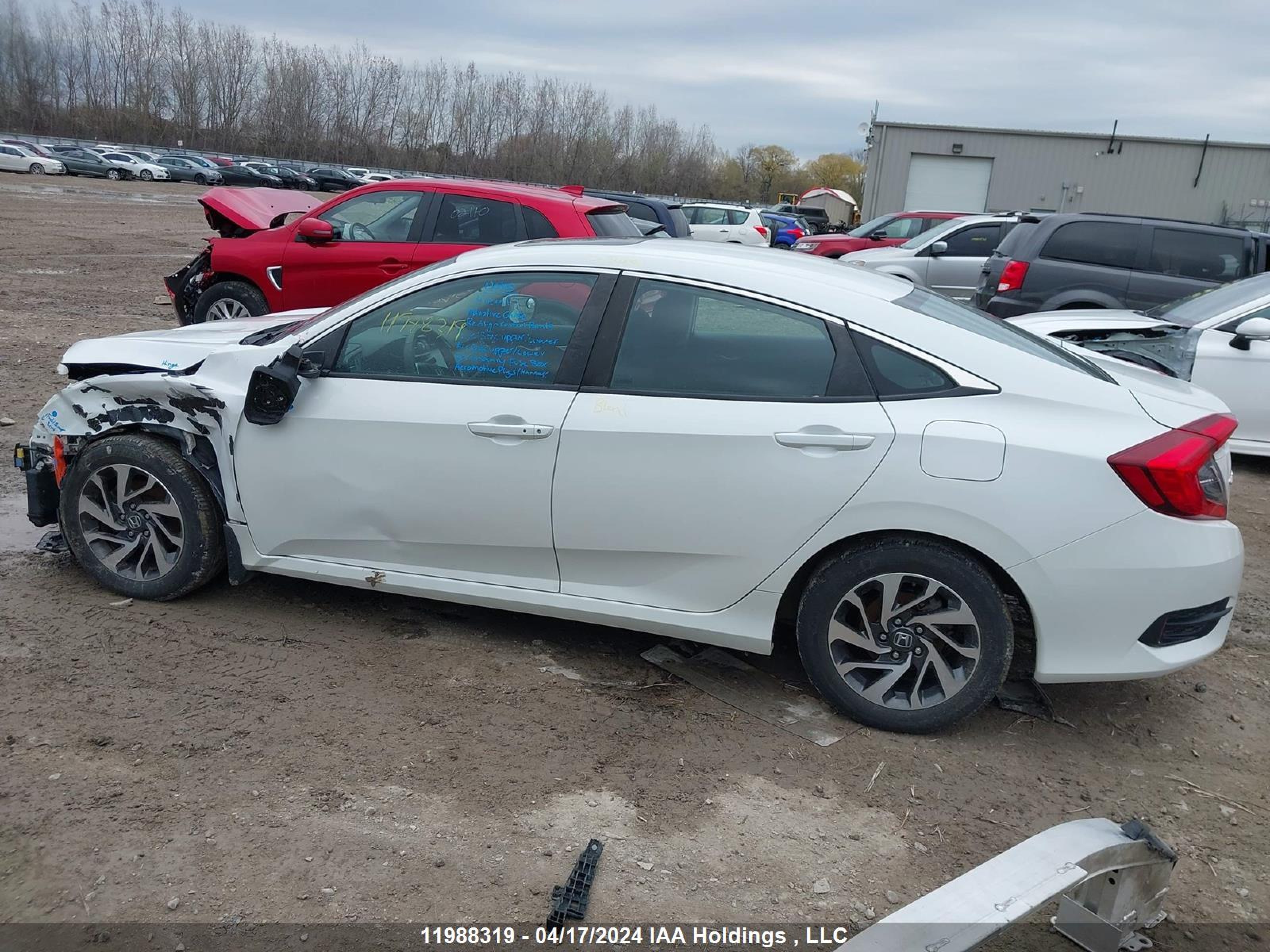 Photo 13 VIN: 2HGFC2F79KH008955 - HONDA CIVIC 