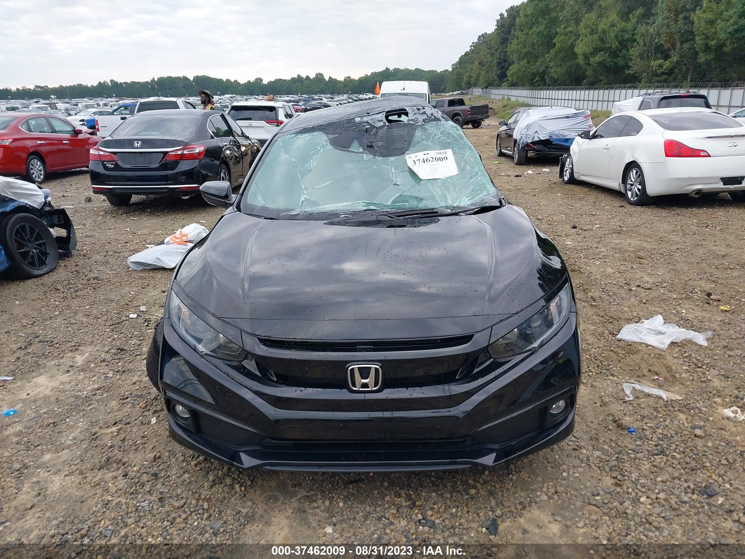 Photo 11 VIN: 2HGFC2F81LH556796 - HONDA CIVIC 