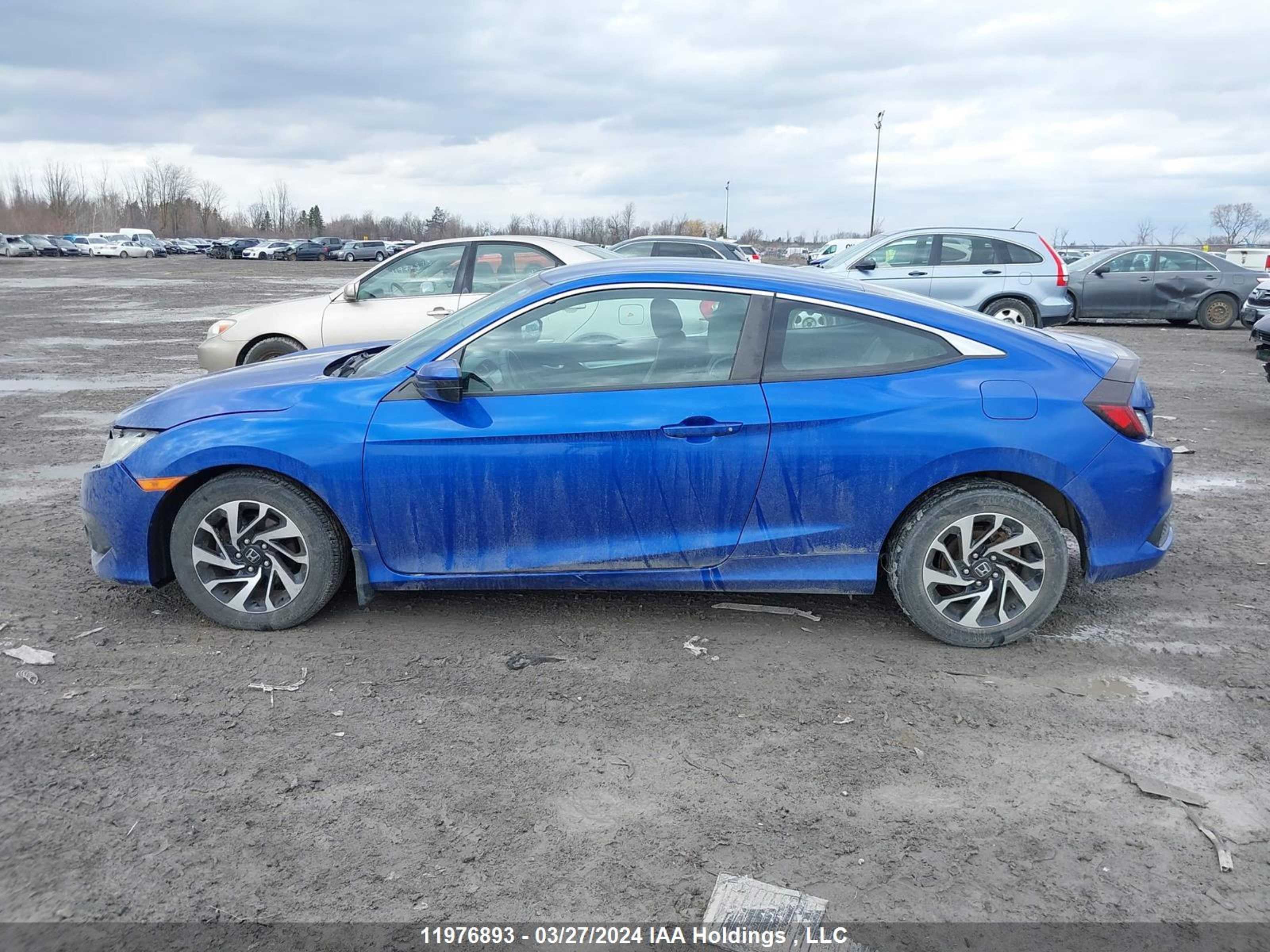 Photo 14 VIN: 2HGFC4B60HH400174 - HONDA CIVIC 