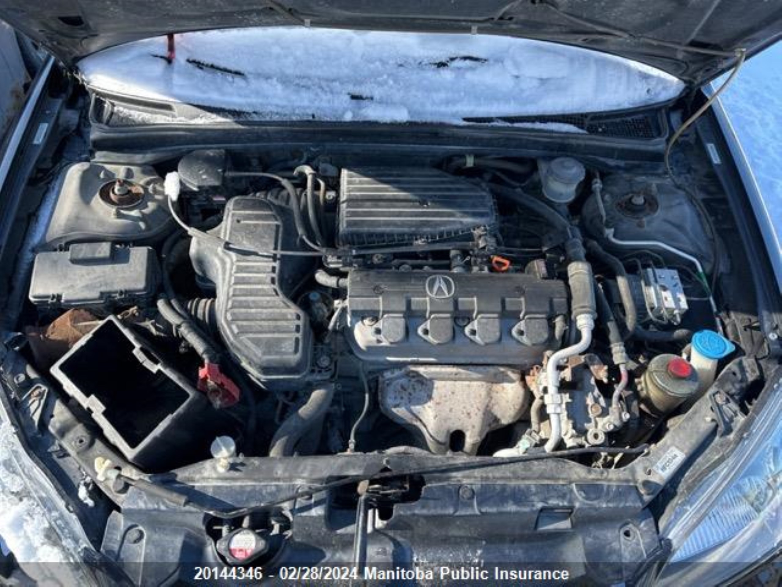 Photo 9 VIN: 2HHES36615H100251 - ACURA EL 