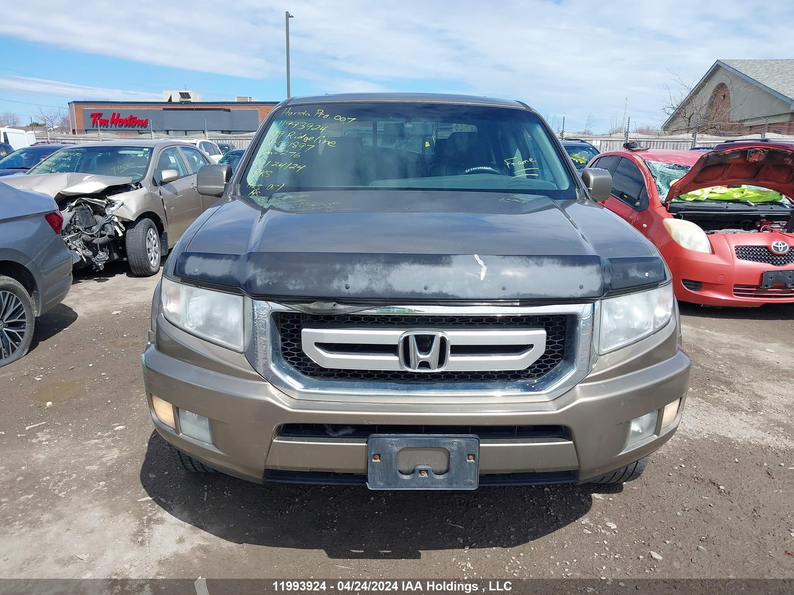 Photo 12 VIN: 2HJYK16579H001897 - HONDA RIDGELINE 