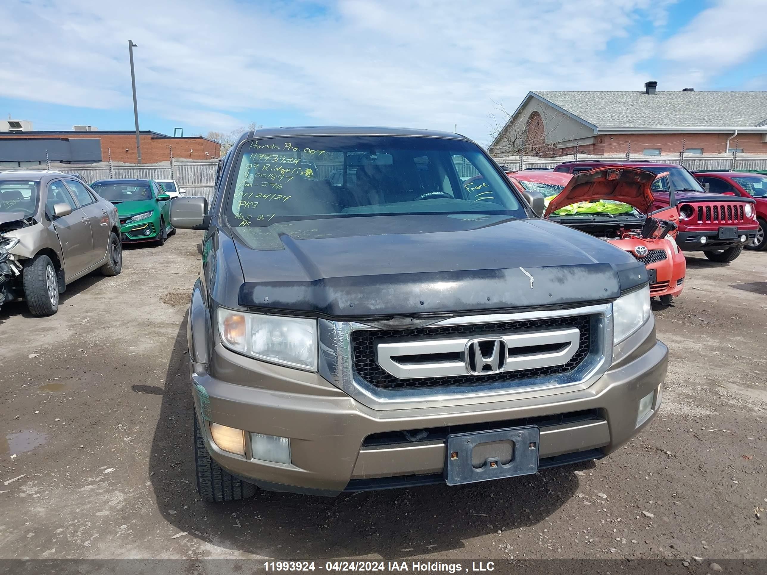 Photo 6 VIN: 2HJYK16579H001897 - HONDA RIDGELINE 