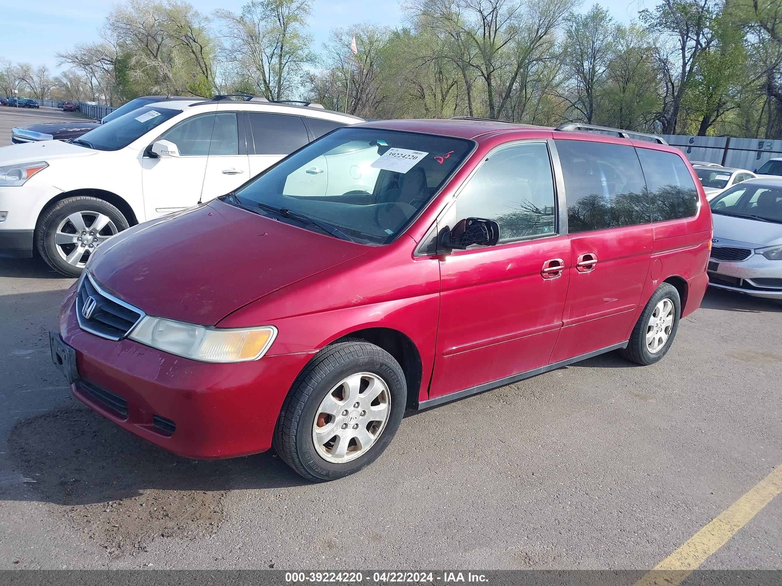 Photo 1 VIN: 2HKRL18622H556233 - HONDA ODYSSEY 