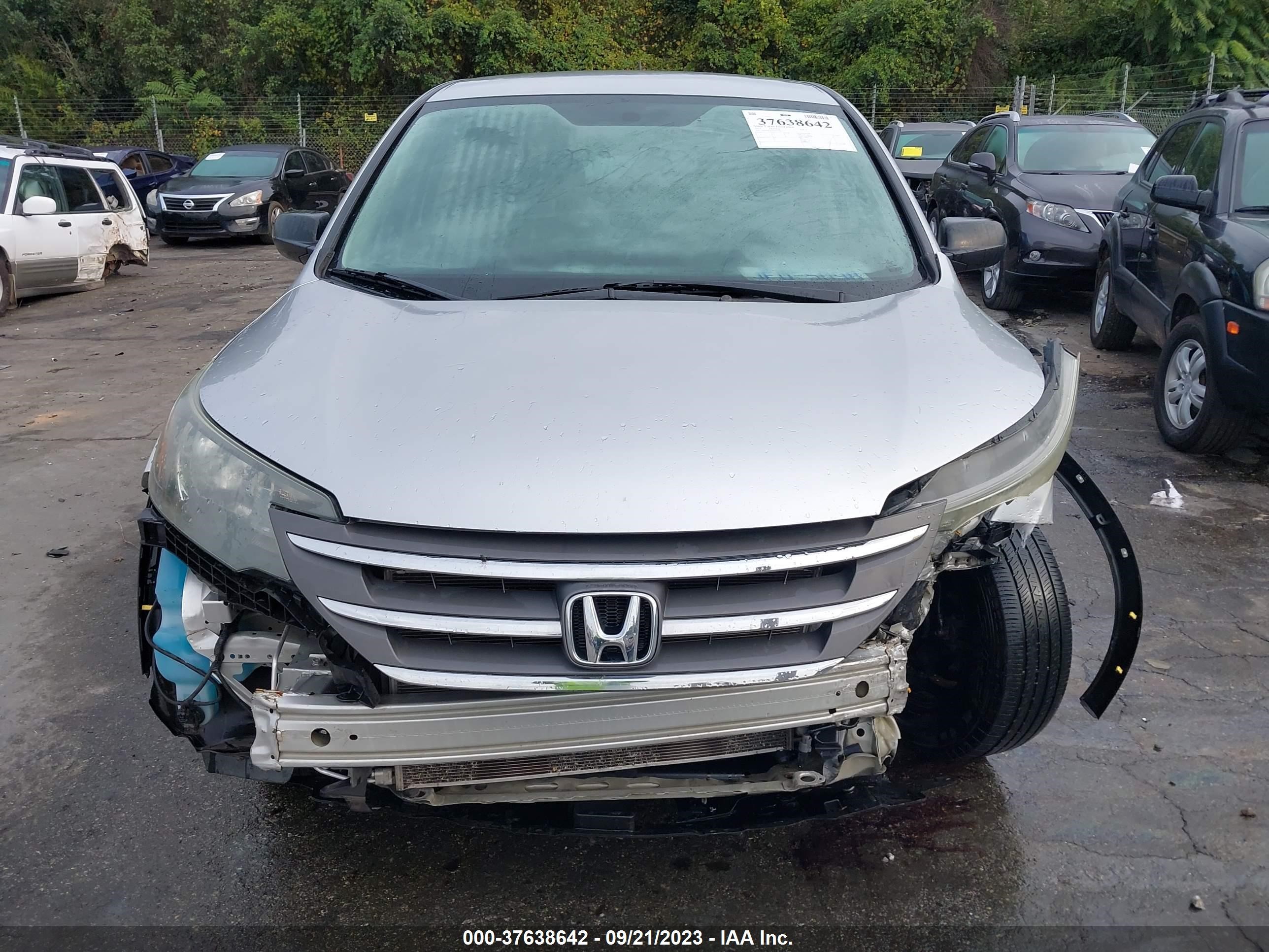 Photo 12 VIN: 2HKRM3H36DH518313 - HONDA CR-V 