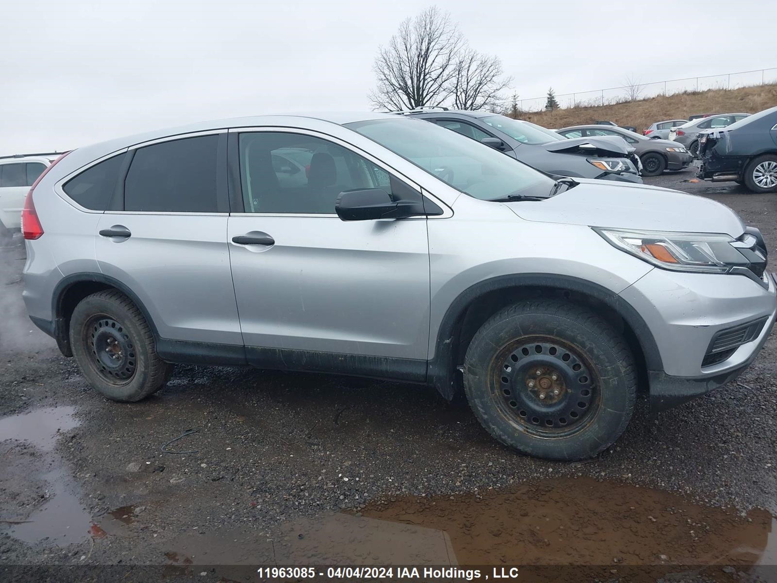 Photo 12 VIN: 2HKRM3H39FH003101 - HONDA CR-V 