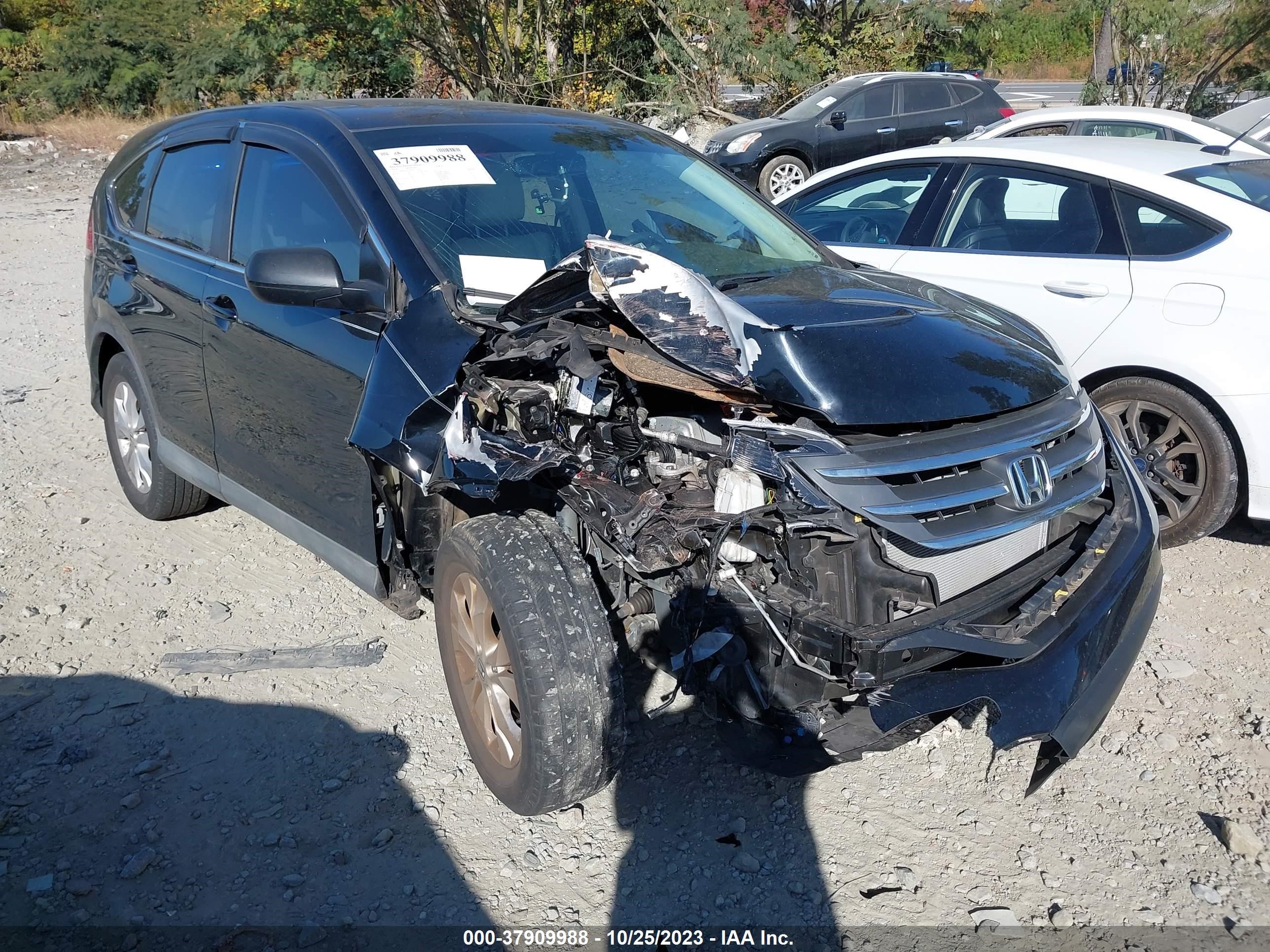 Photo 0 VIN: 2HKRM3H50EH537149 - HONDA CR-V 