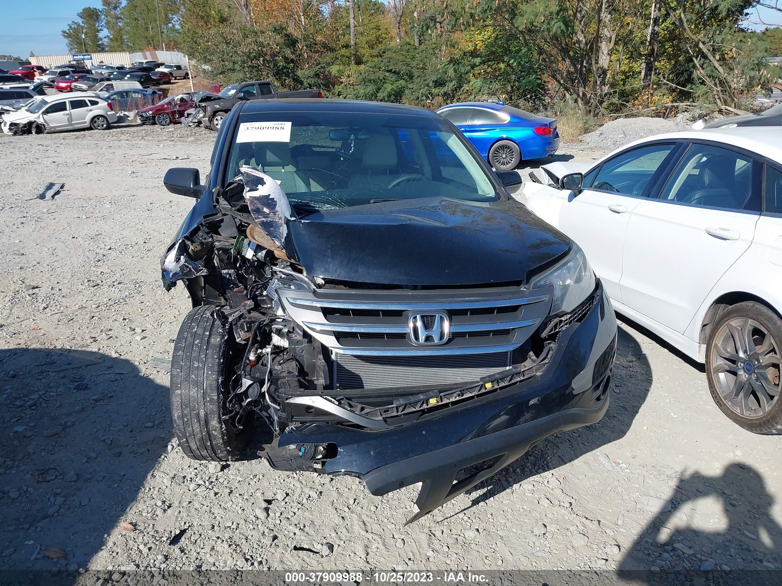 Photo 11 VIN: 2HKRM3H50EH537149 - HONDA CR-V 