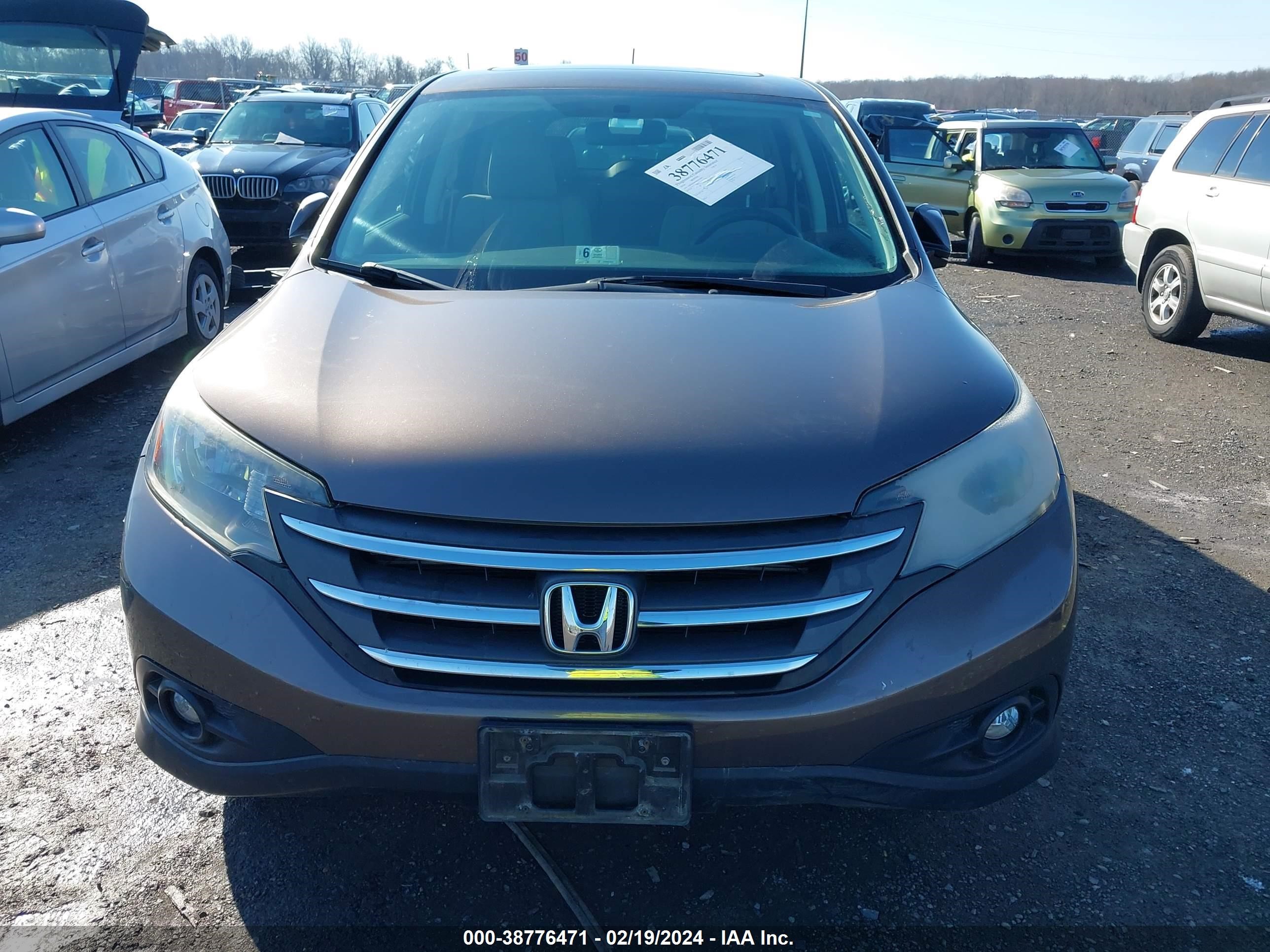 Photo 11 VIN: 2HKRM3H50EH543873 - HONDA CR-V 