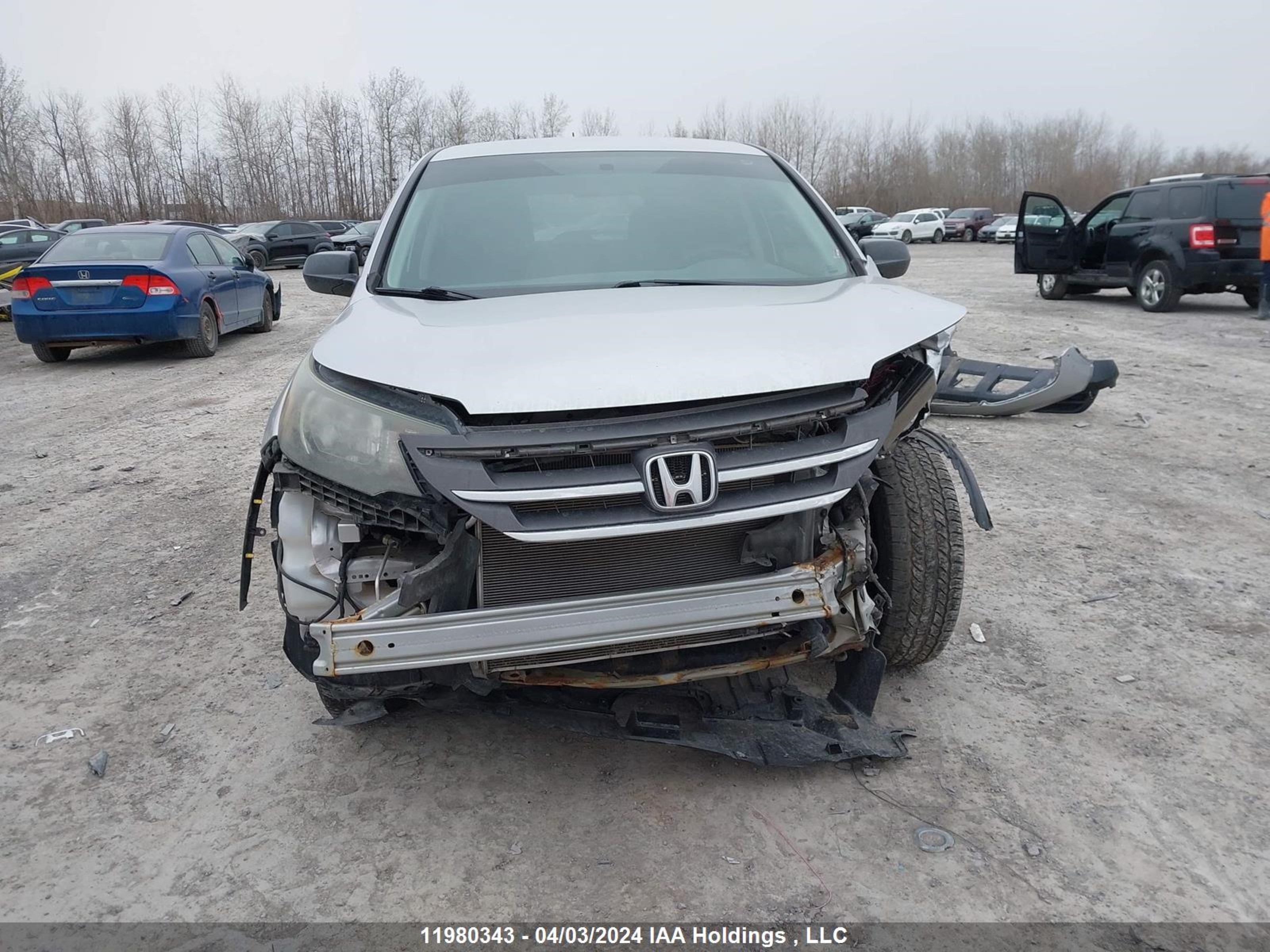 Photo 12 VIN: 2HKRM4H36DH113221 - HONDA CR-V 