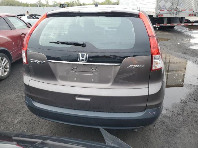 Photo 5 VIN: 2HKRM4H37EH715417 - HONDA CRV 