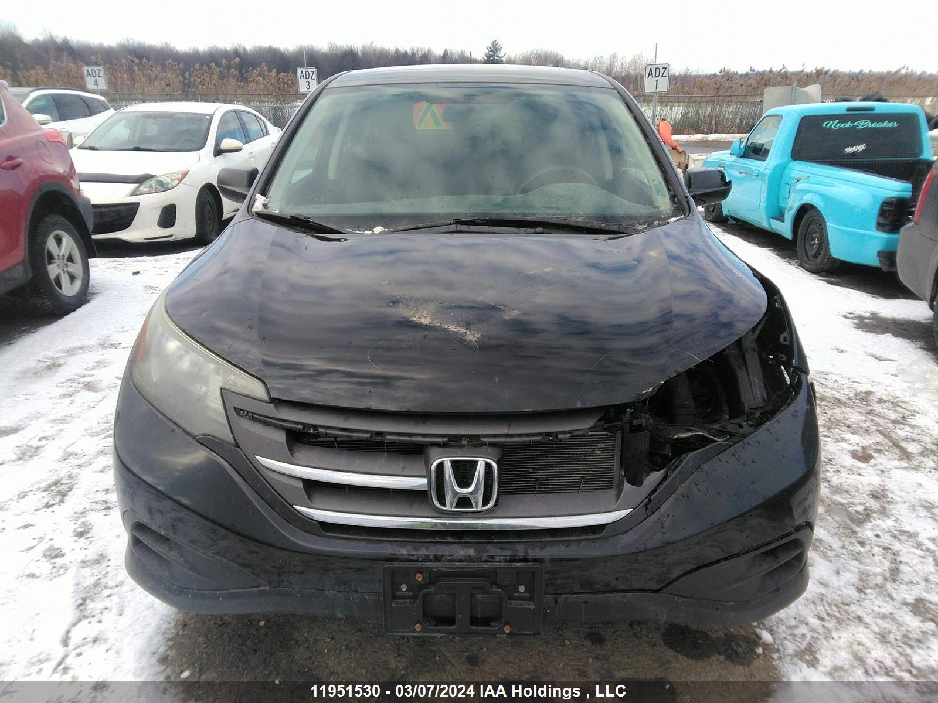 Photo 11 VIN: 2HKRM4H39DH101368 - HONDA CR-V 