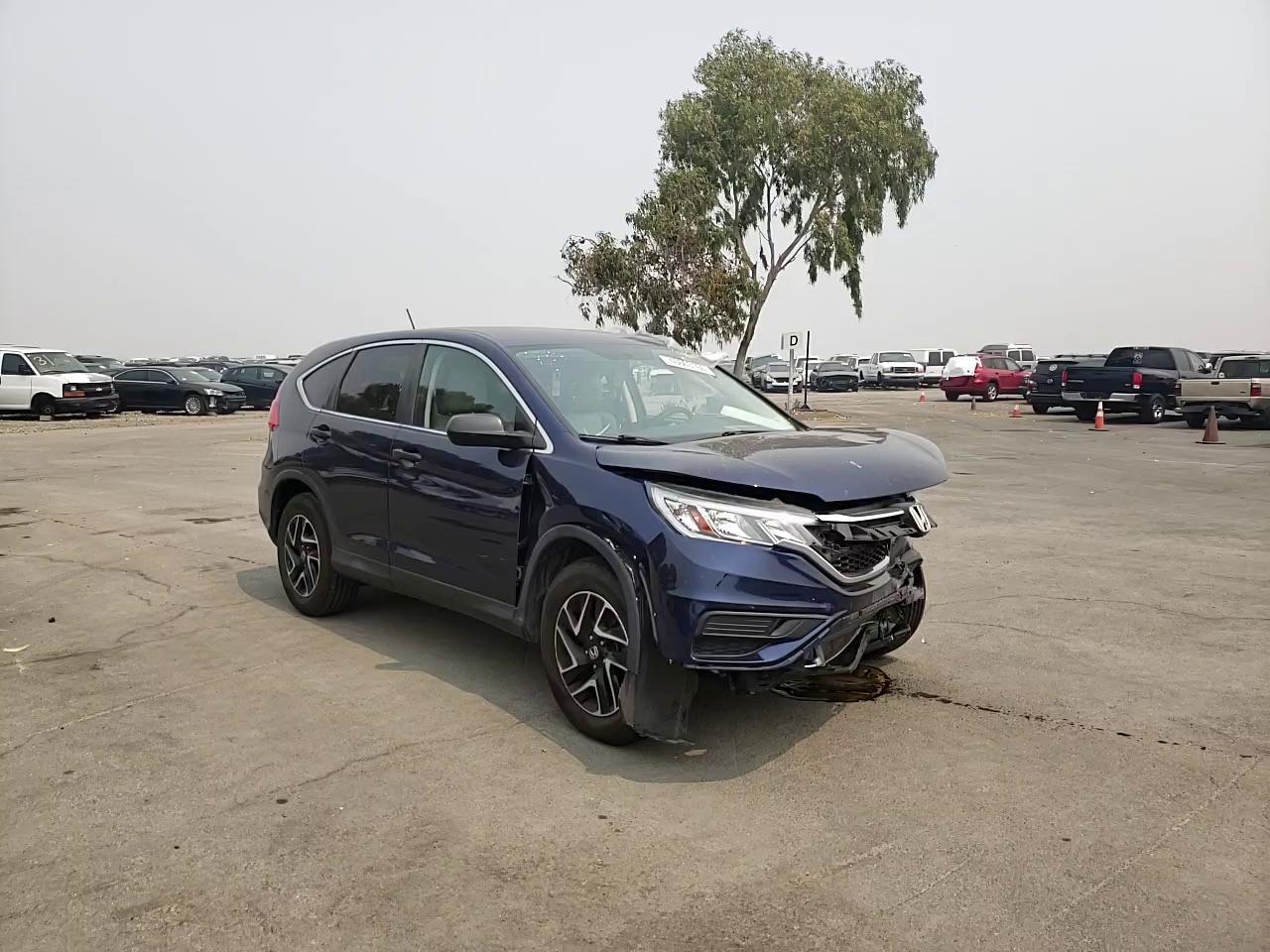 Photo 10 VIN: 2HKRM4H43GH636077 - HONDA CR-V SE 