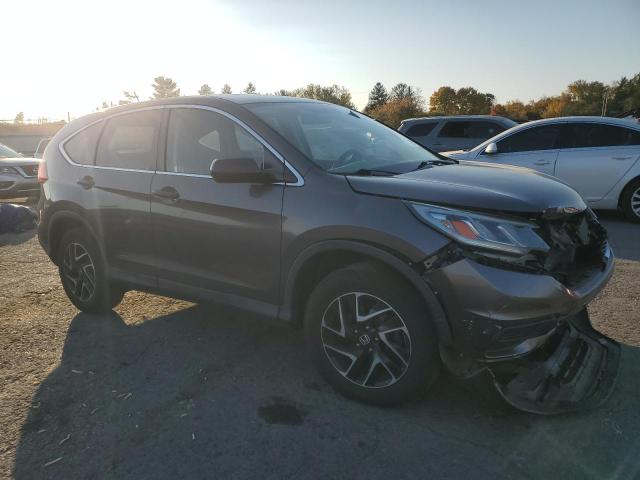 Photo 3 VIN: 2HKRM4H45GH672935 - HONDA CR-V SE 