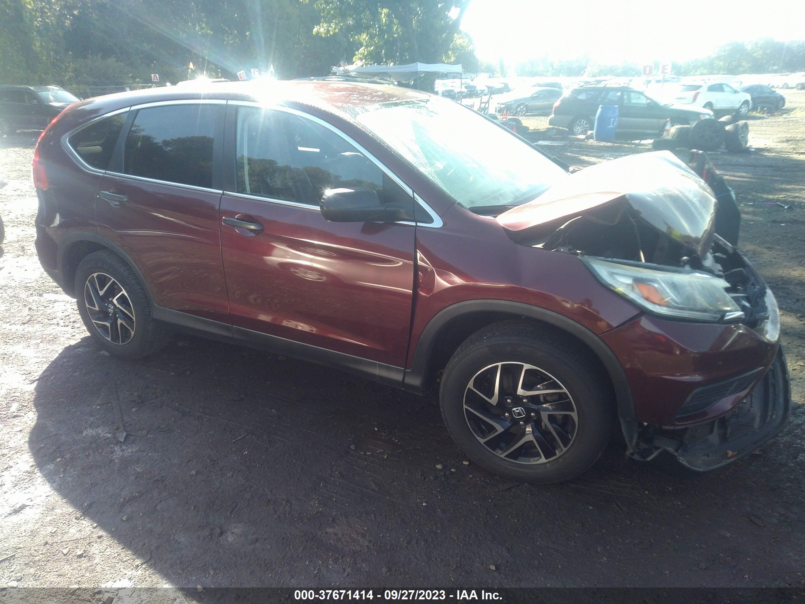 Photo 12 VIN: 2HKRM4H48GH641467 - HONDA CR-V 