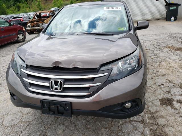 Photo 8 VIN: 2HKRM4H50EH623244 - HONDA CR-V EX 