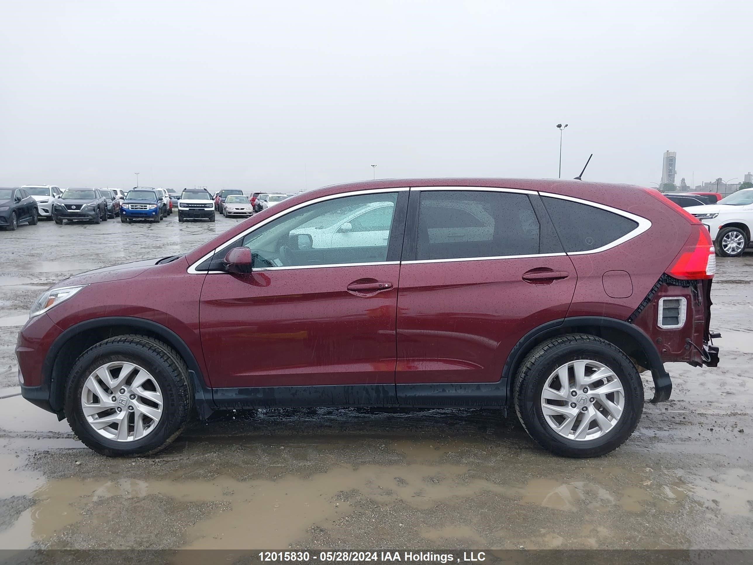 Photo 14 VIN: 2HKRM4H50GH131106 - HONDA CR-V 