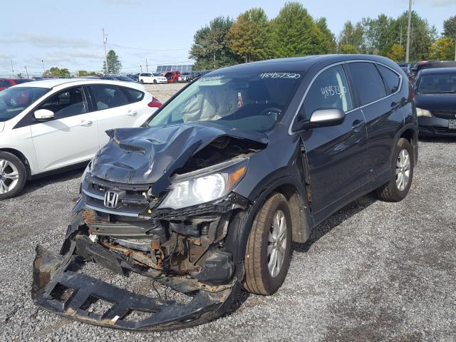 Photo 1 VIN: 2HKRM4H54EH101300 - HONDA CR-V 