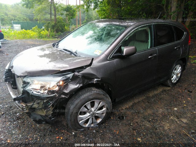 Photo 1 VIN: 2HKRM4H59EH666917 - HONDA CR-V 