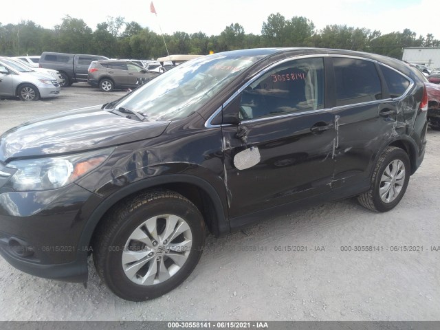 Photo 5 VIN: 2HKRM4H59EH703917 - HONDA CR-V 