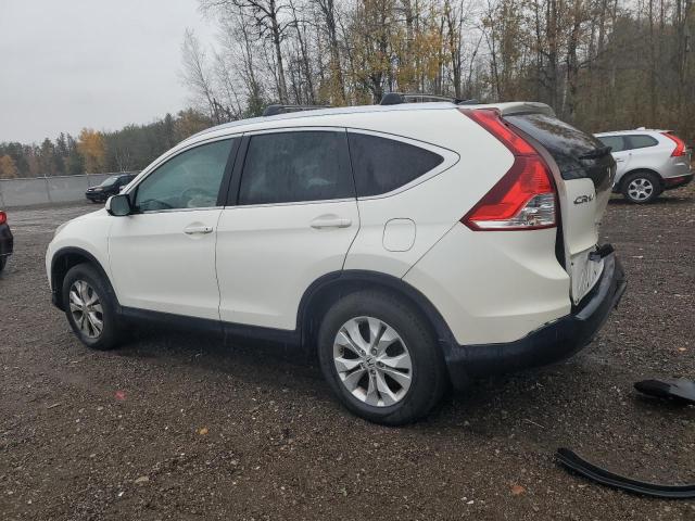 Photo 1 VIN: 2HKRM4H71DH109113 - HONDA CR-V EXL 