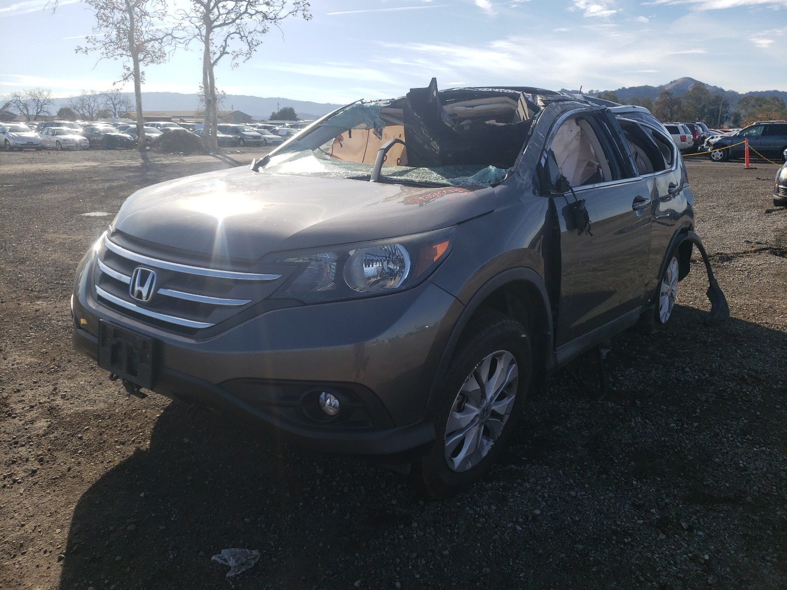 Photo 1 VIN: 2HKRM4H72DH682098 - HONDA CR-V EXL 