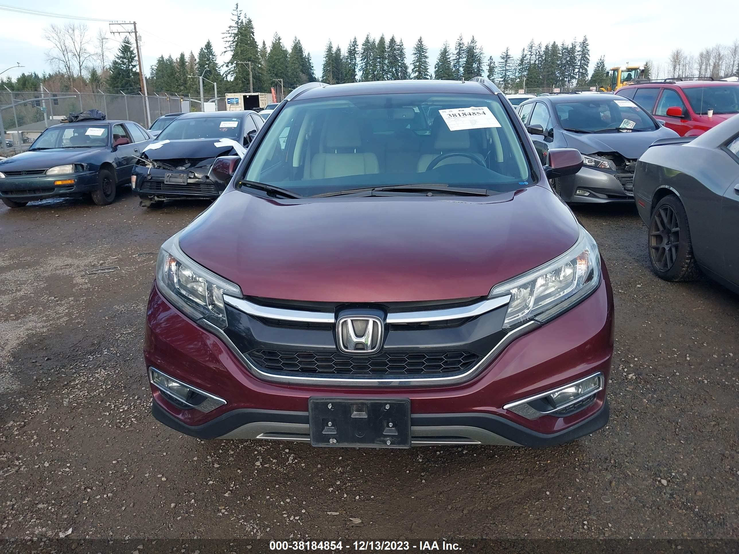 Photo 12 VIN: 2HKRM4H73FH677544 - HONDA CR-V 