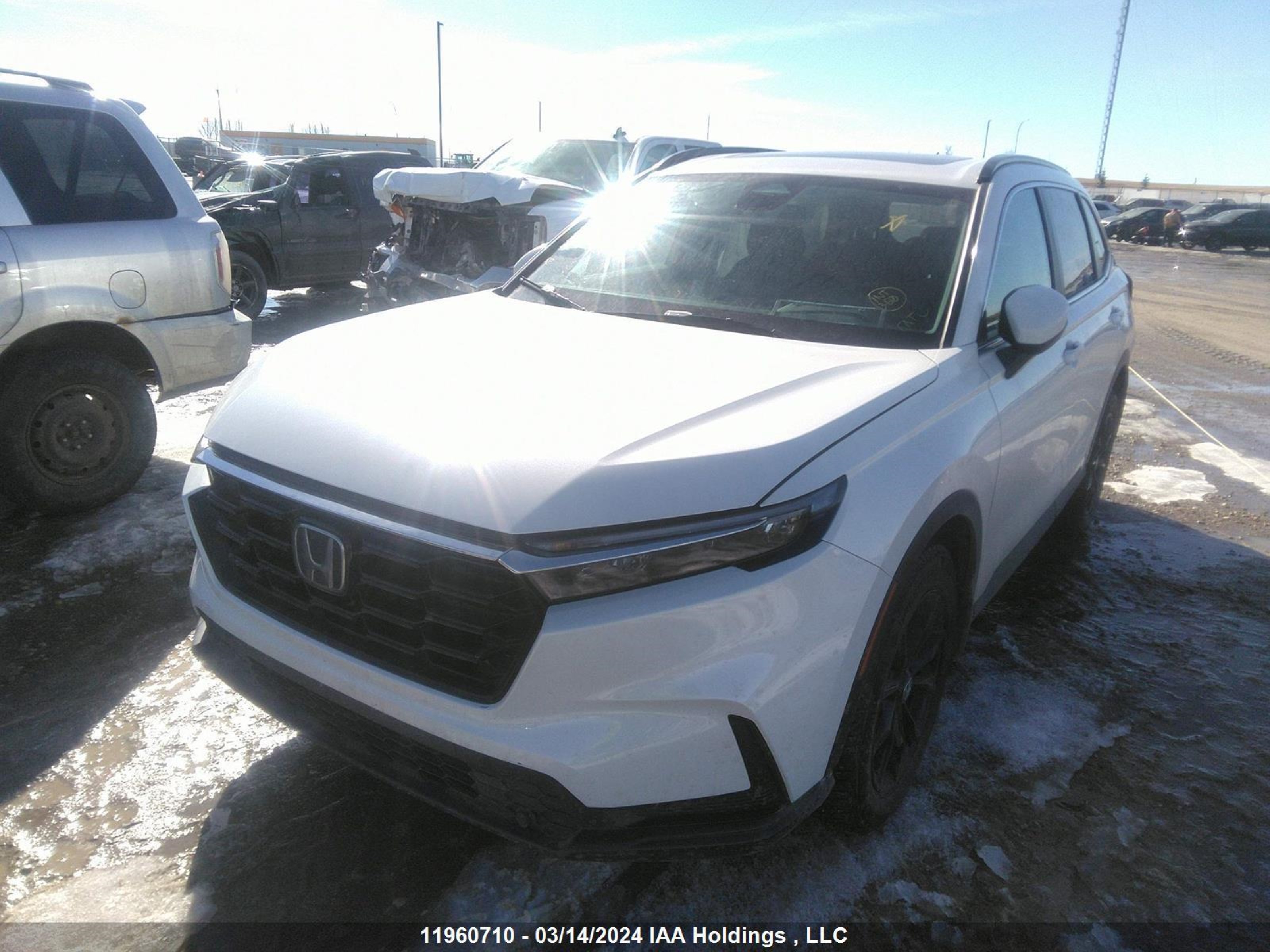 Photo 1 VIN: 2HKRS4H54RH104807 - HONDA CR-V 