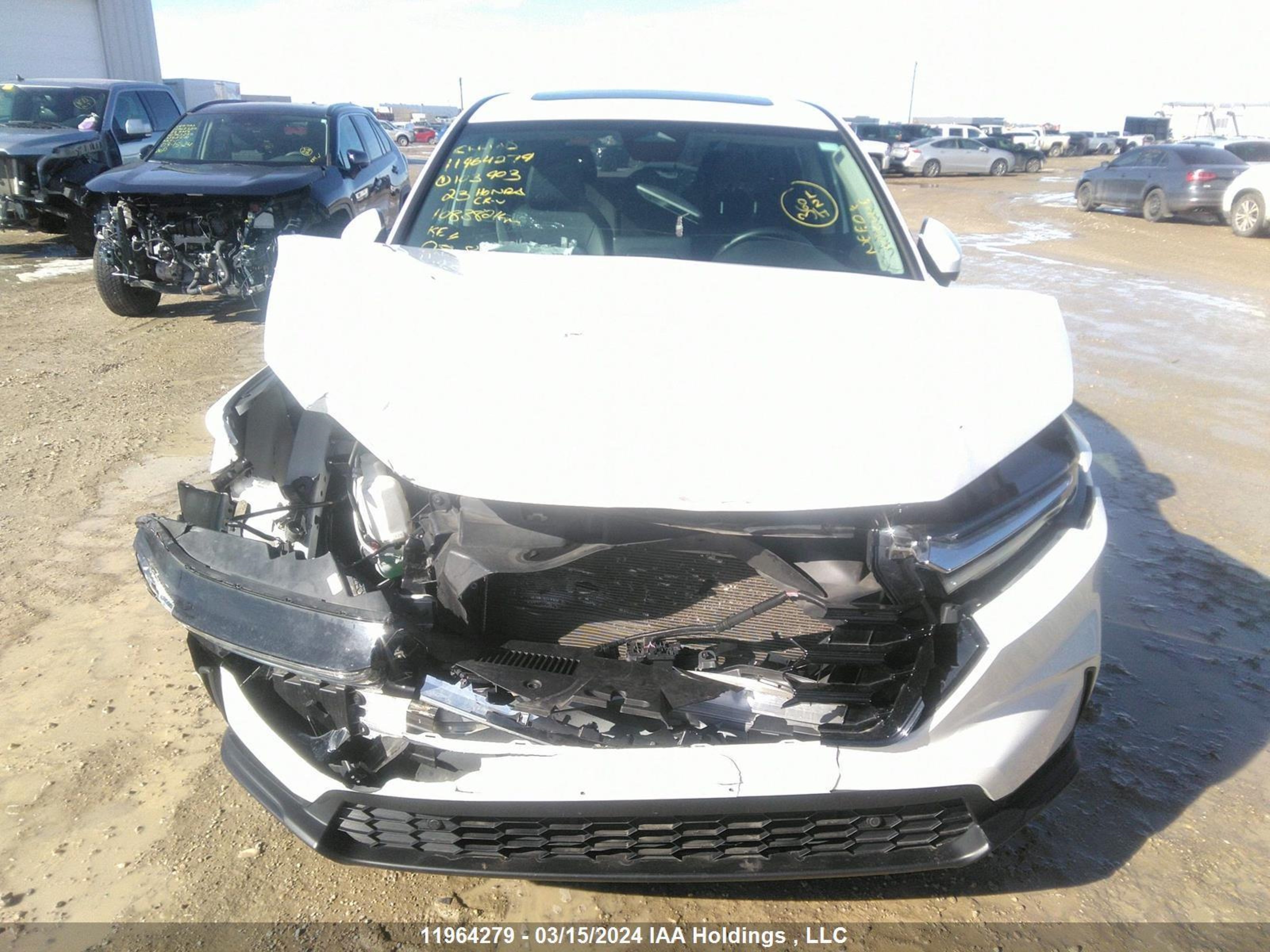 Photo 12 VIN: 2HKRS4H78PH103903 - HONDA CR-V 