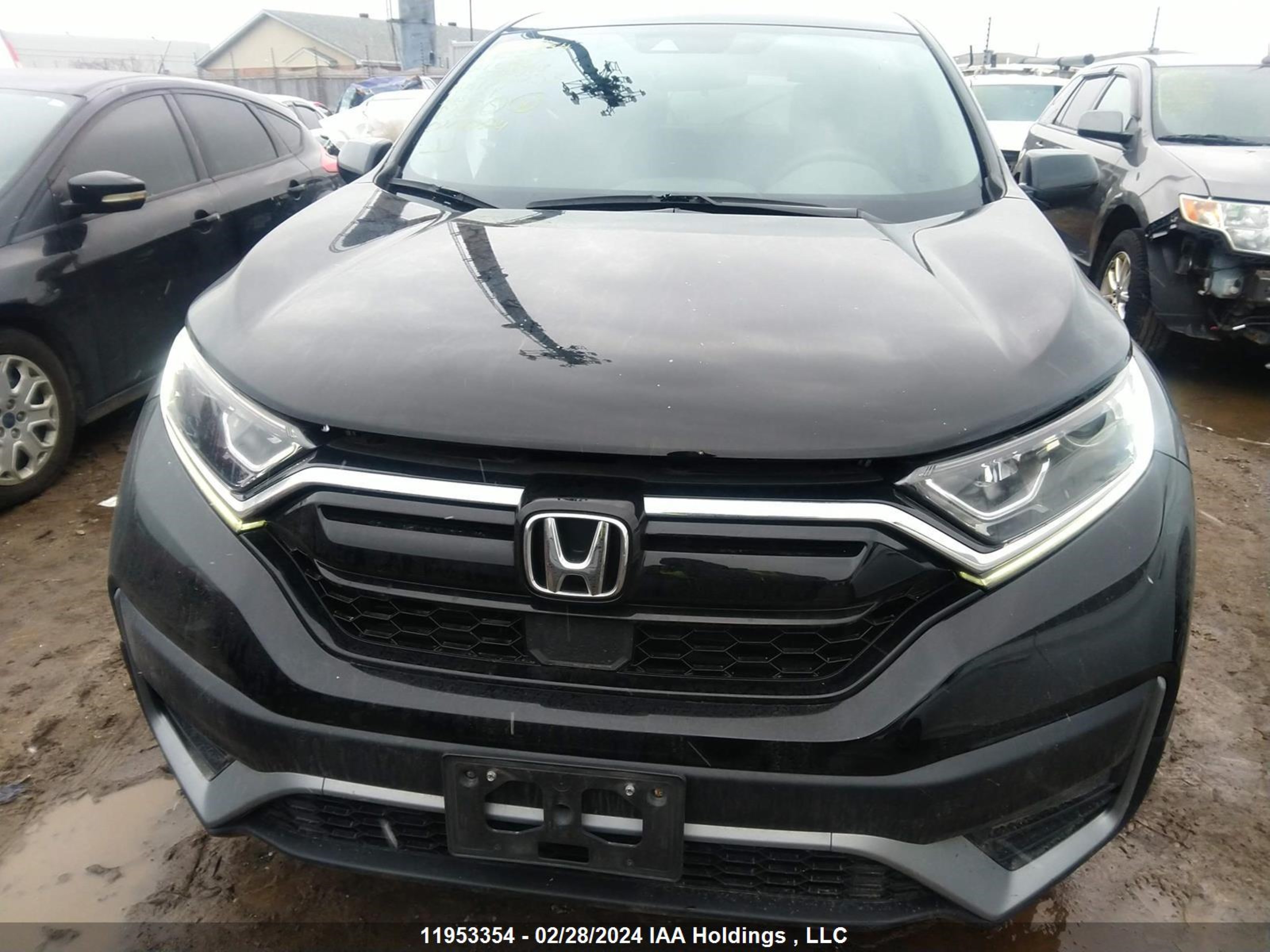 Photo 12 VIN: 2HKRW1H22MH003718 - HONDA CR-V 