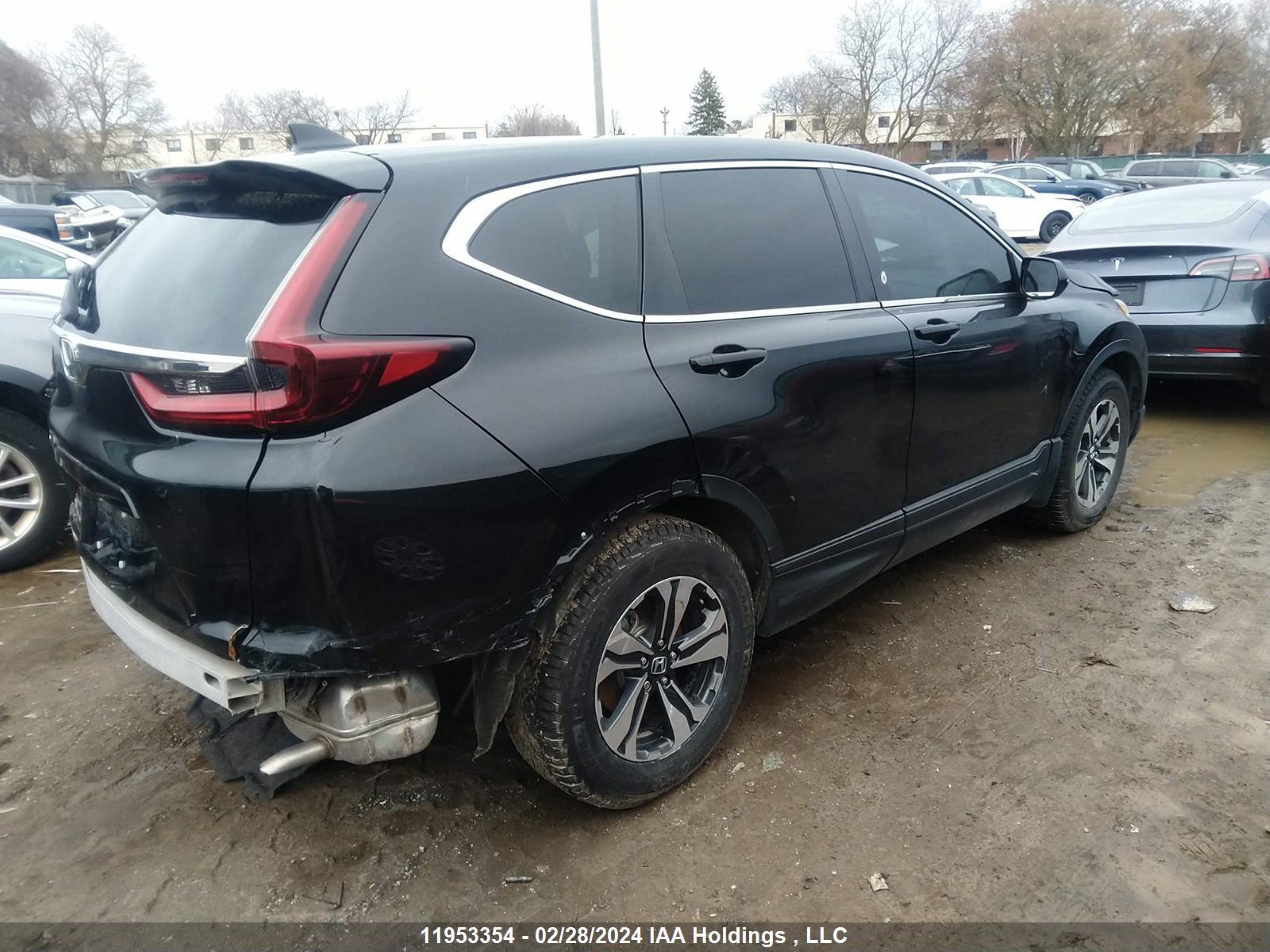 Photo 3 VIN: 2HKRW1H22MH003718 - HONDA CR-V 