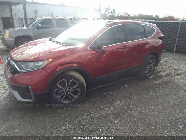 Photo 1 VIN: 2HKRW1H50LH404659 - HONDA CR-V 