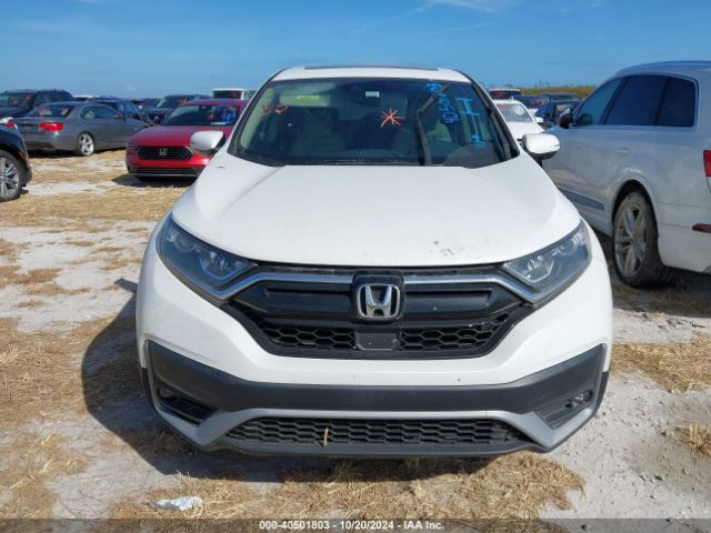 Photo 5 VIN: 2HKRW1H57LH420972 - HONDA CR-V 