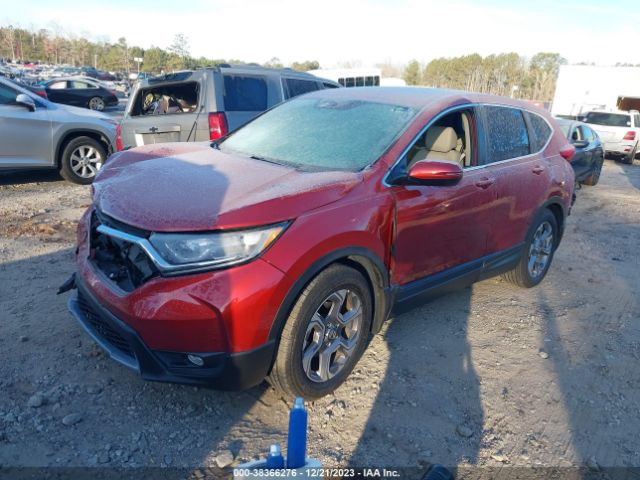 Photo 1 VIN: 2HKRW1H87KH502998 - HONDA CR-V 