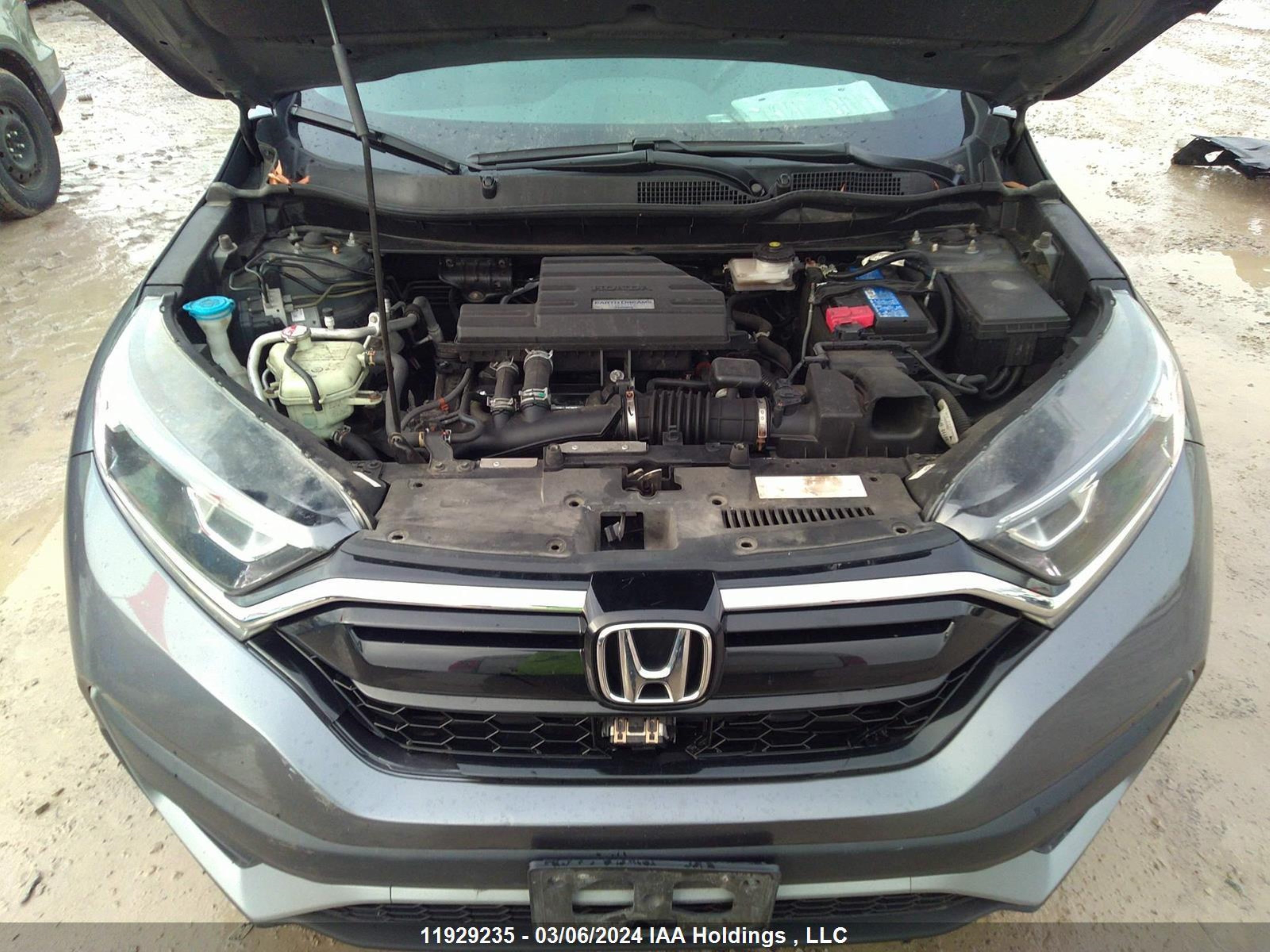 Photo 9 VIN: 2HKRW2H2XLH216470 - HONDA CR-V 