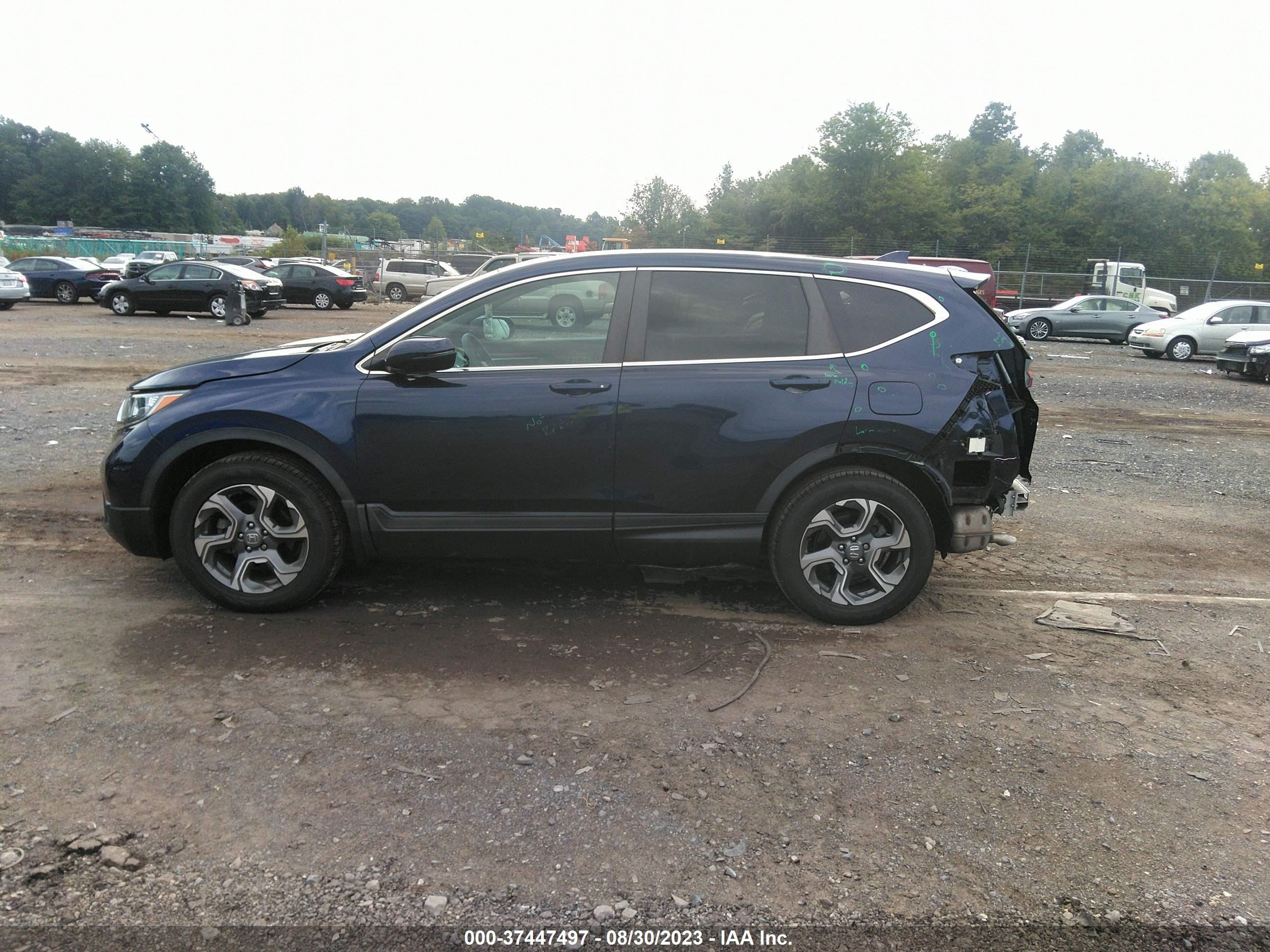 Photo 13 VIN: 2HKRW2H51JH697328 - HONDA CR-V 