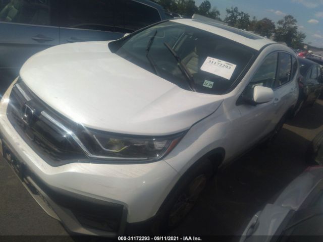 Photo 1 VIN: 2HKRW2H55LH699456 - HONDA CR-V 