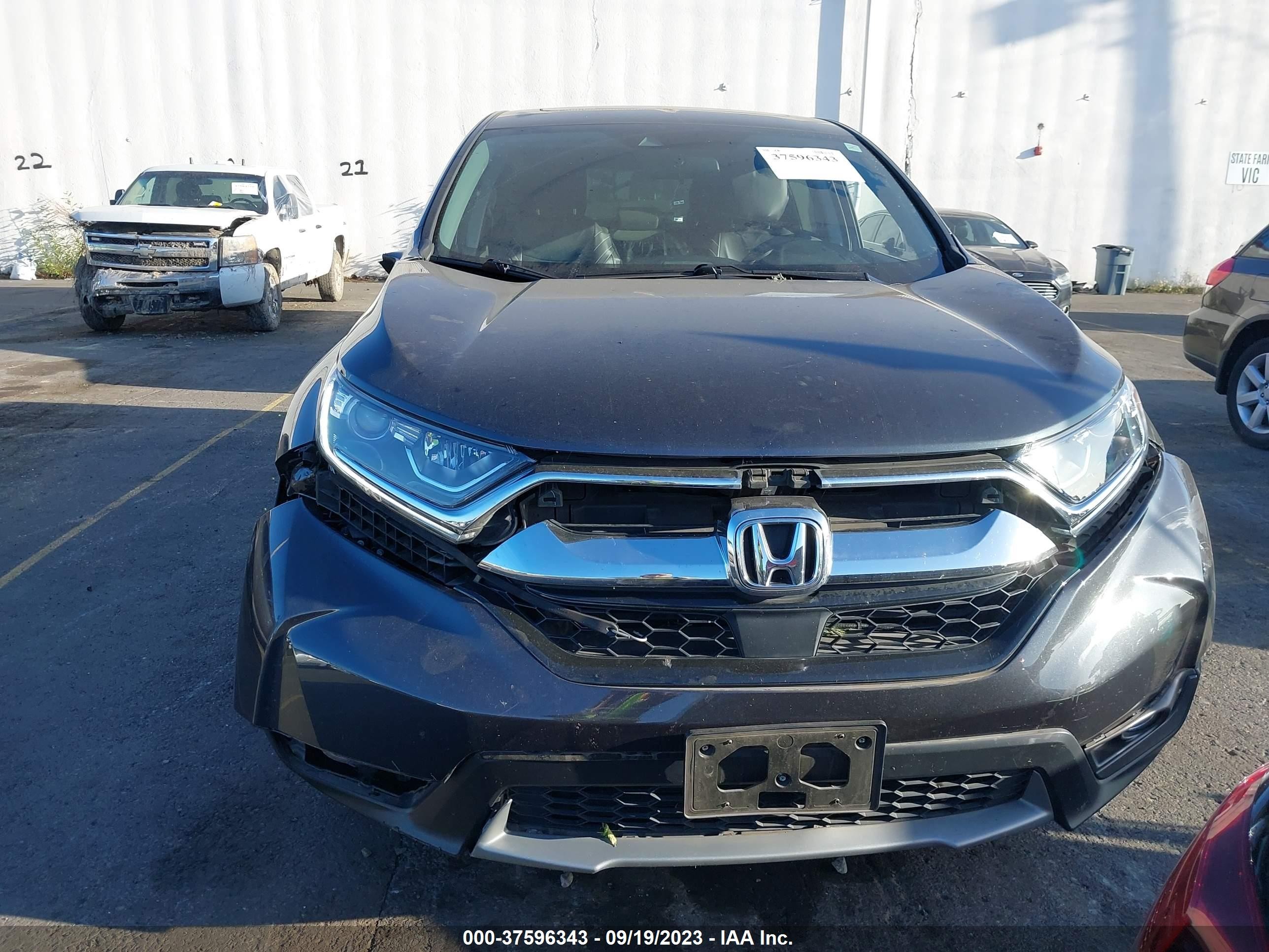 Photo 12 VIN: 2HKRW2H59KH616738 - HONDA CR-V 