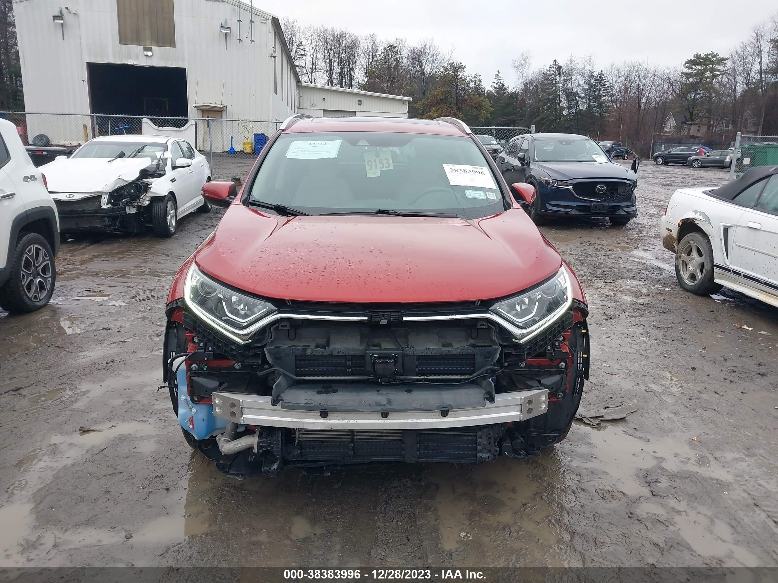 Photo 11 VIN: 2HKRW2H59KH627674 - HONDA CR-V 