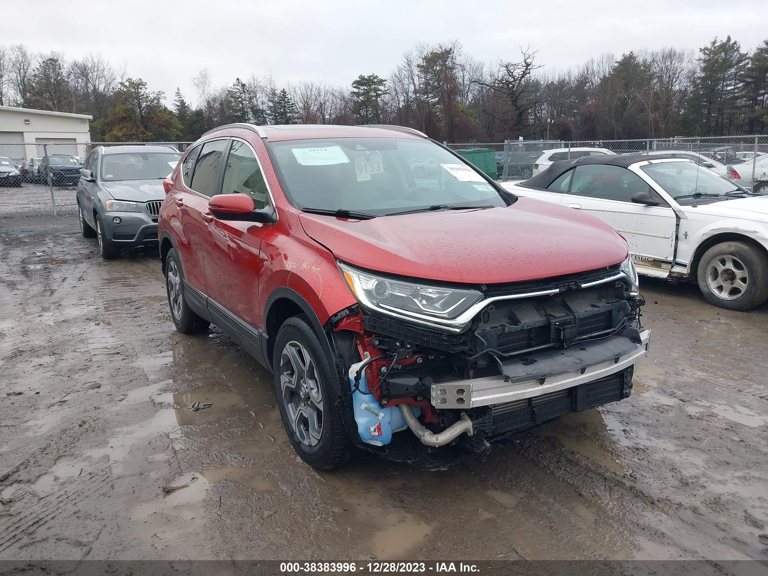 Photo 5 VIN: 2HKRW2H59KH627674 - HONDA CR-V 