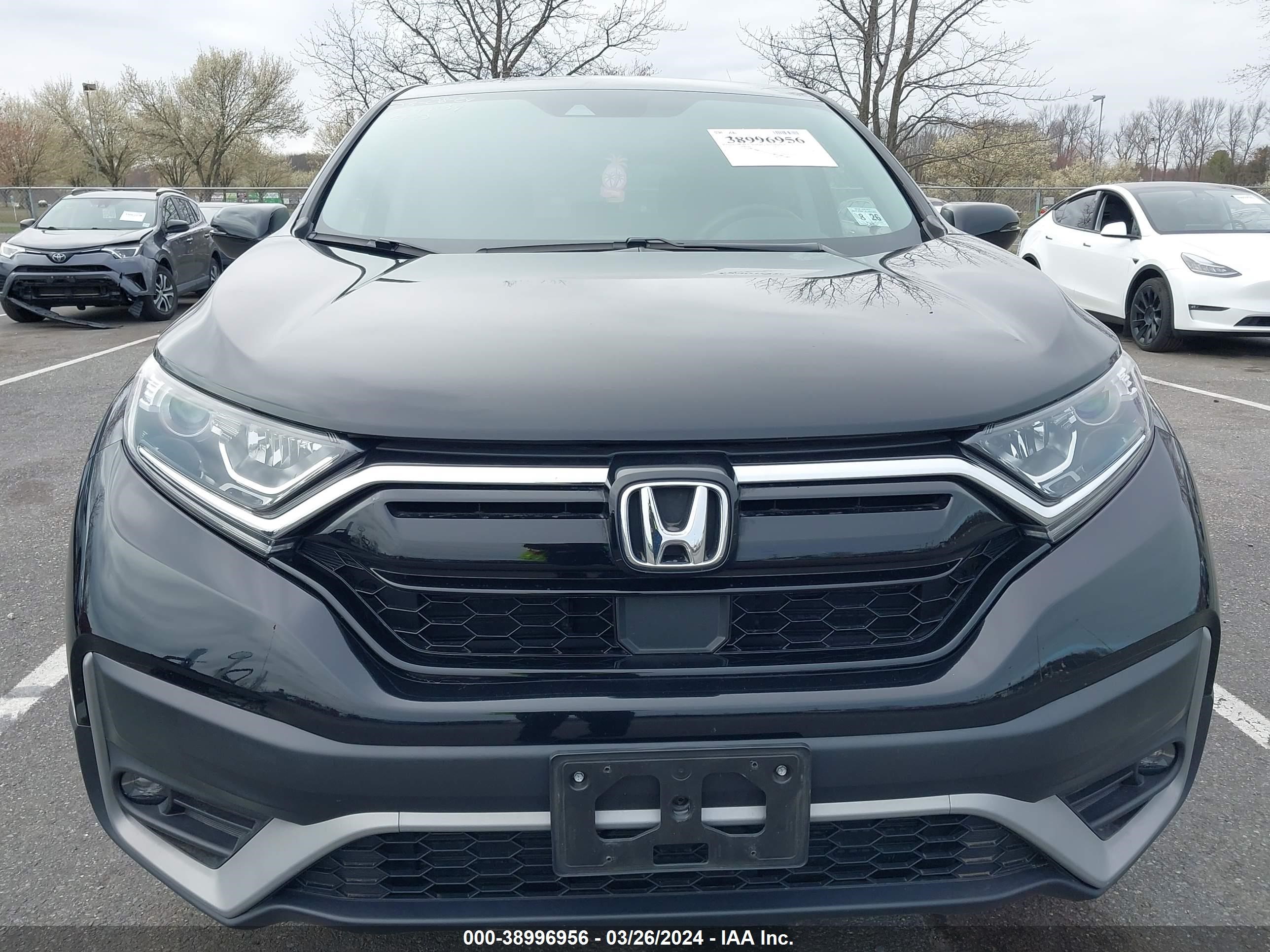 Photo 11 VIN: 2HKRW2H59LH606941 - HONDA CR-V 